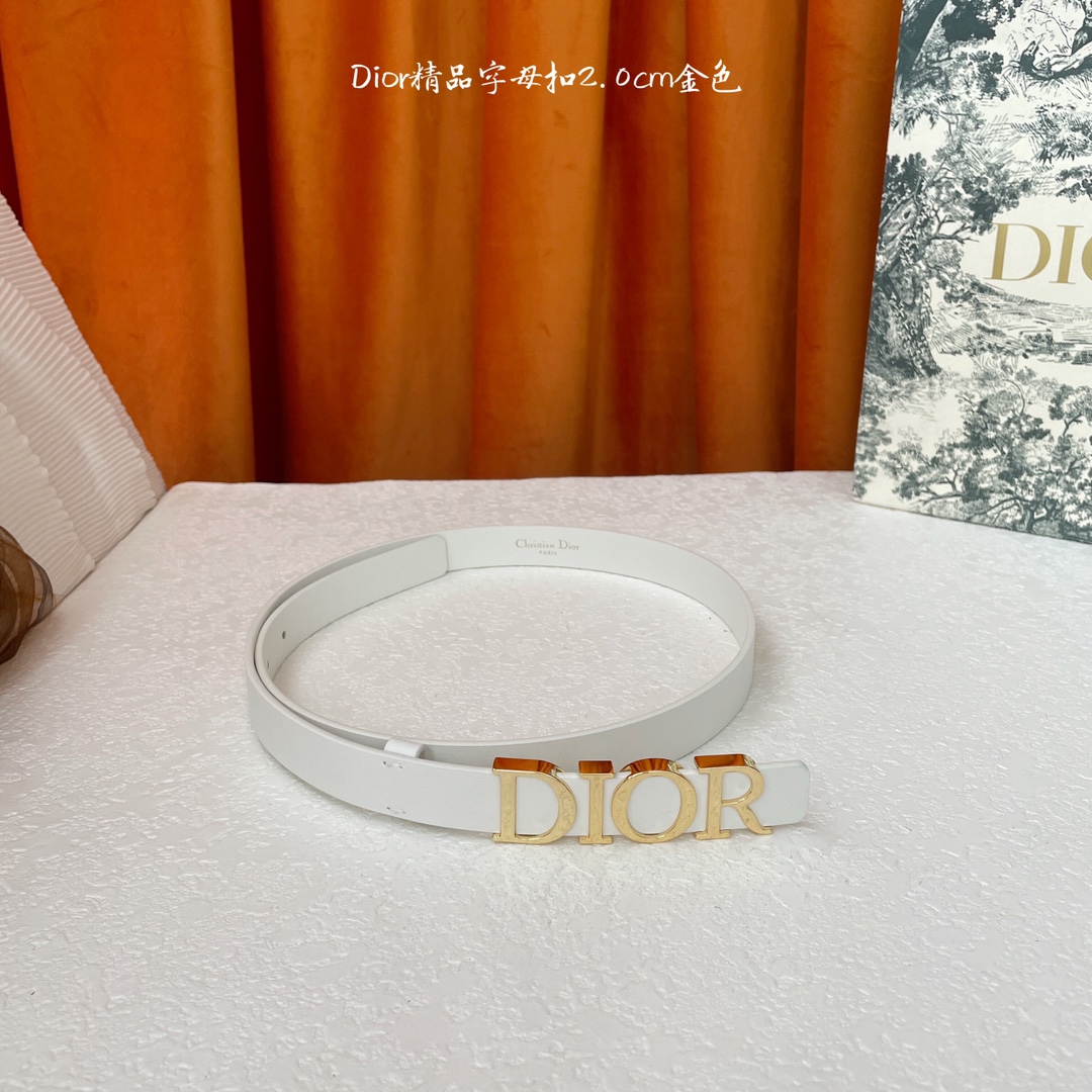 디올 벨트 59799 Dior Belt