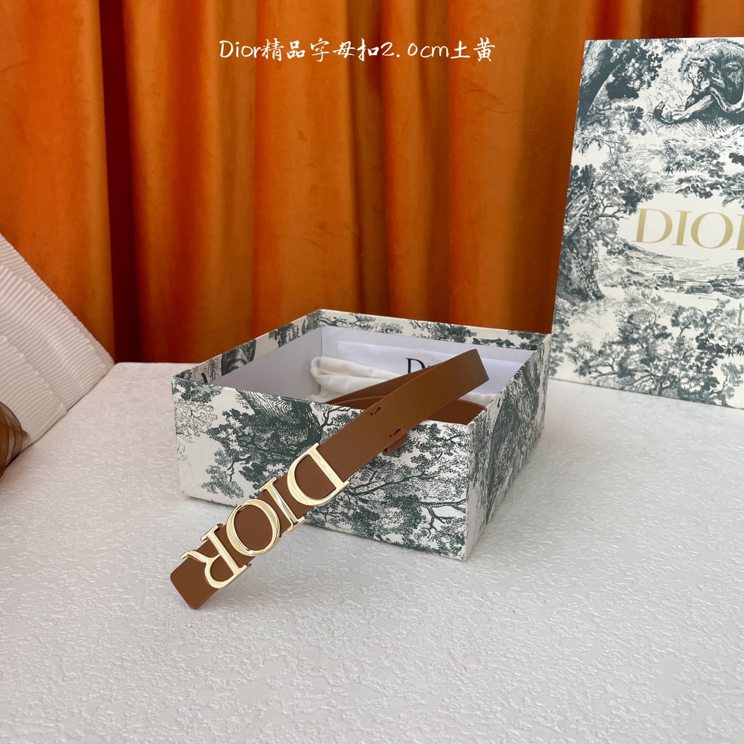 Dior新款腰带富有光泽的金属Dior腰带扣提升格调