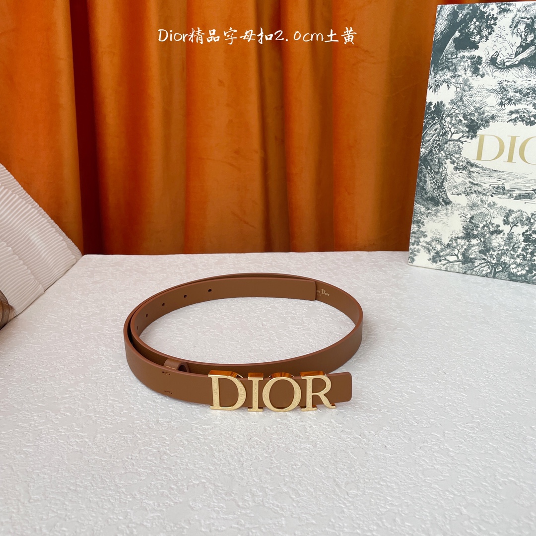 Dior新款腰带富有光泽的金属Dior腰带扣提升格调