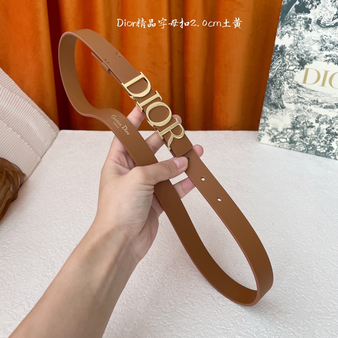 Dior新款腰带富有光泽的金属Dior腰带扣提升格调