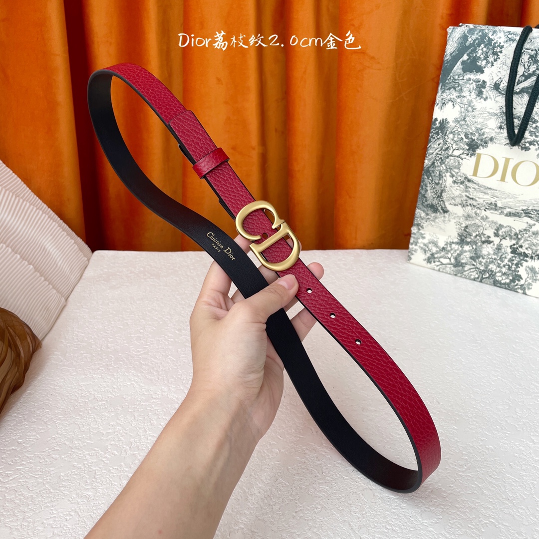 Dior这款马鞍腰带饰以复古金色饰面金属CD腰带扣
