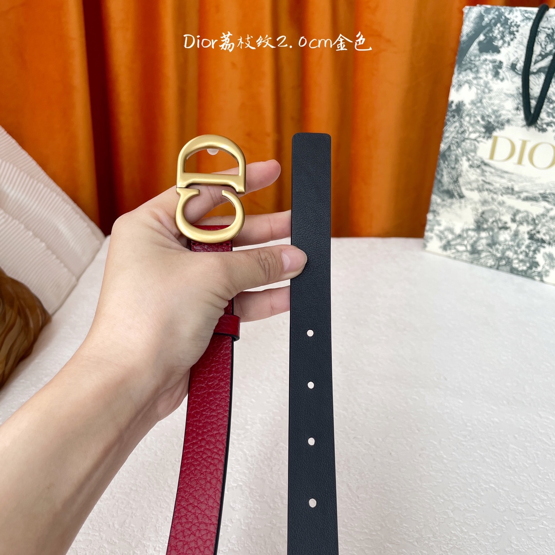 Dior这款马鞍腰带饰以复古金色饰面金属CD腰带扣