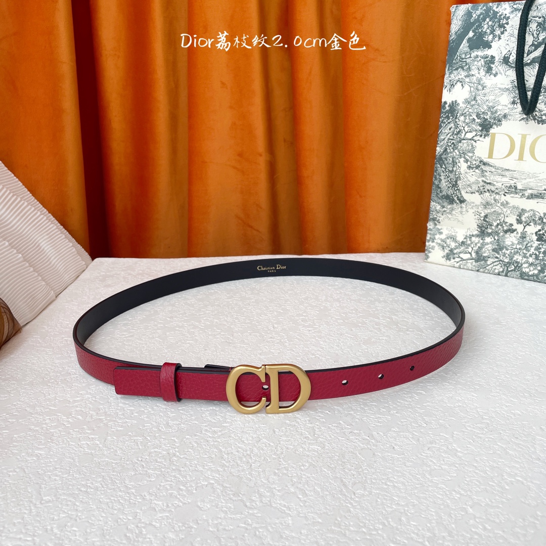 Dior这款马鞍腰带饰以复古金色饰面金属CD腰带扣