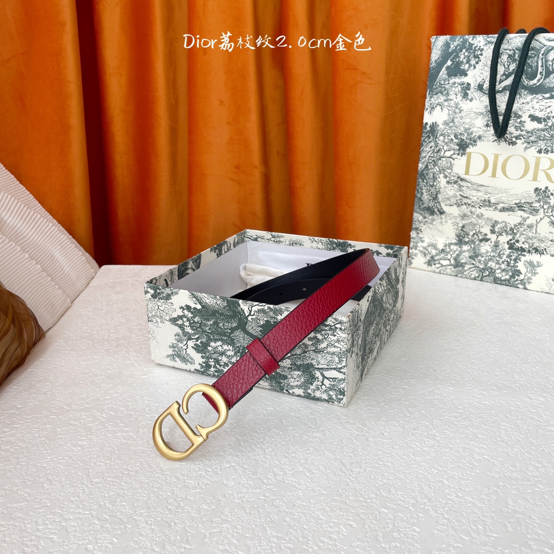 Dior这款马鞍腰带饰以复古金色饰面金属CD腰带扣