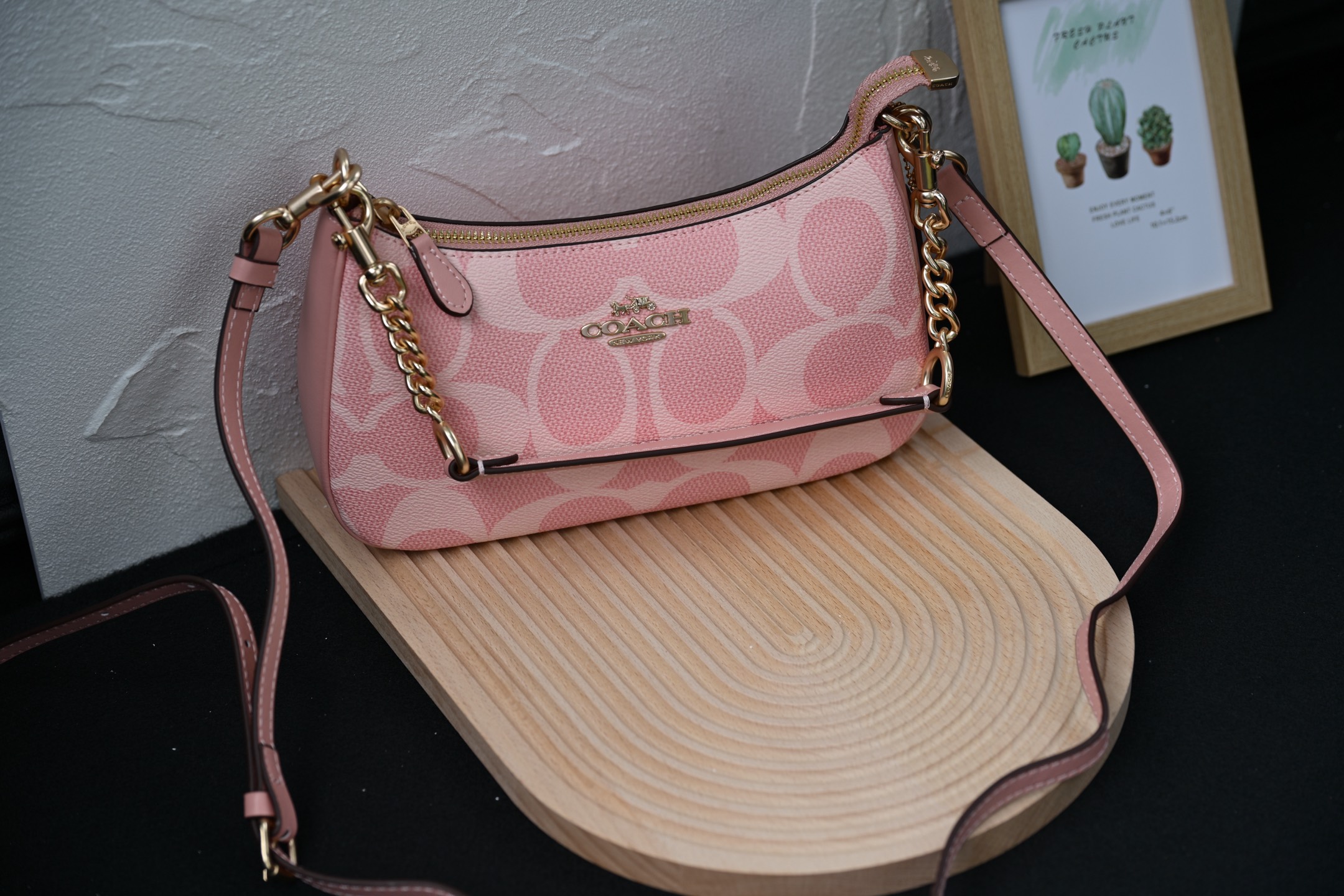 COACH CAL51 TERIシリーズ単肩包 - 高耐久PVCと牛皮素材