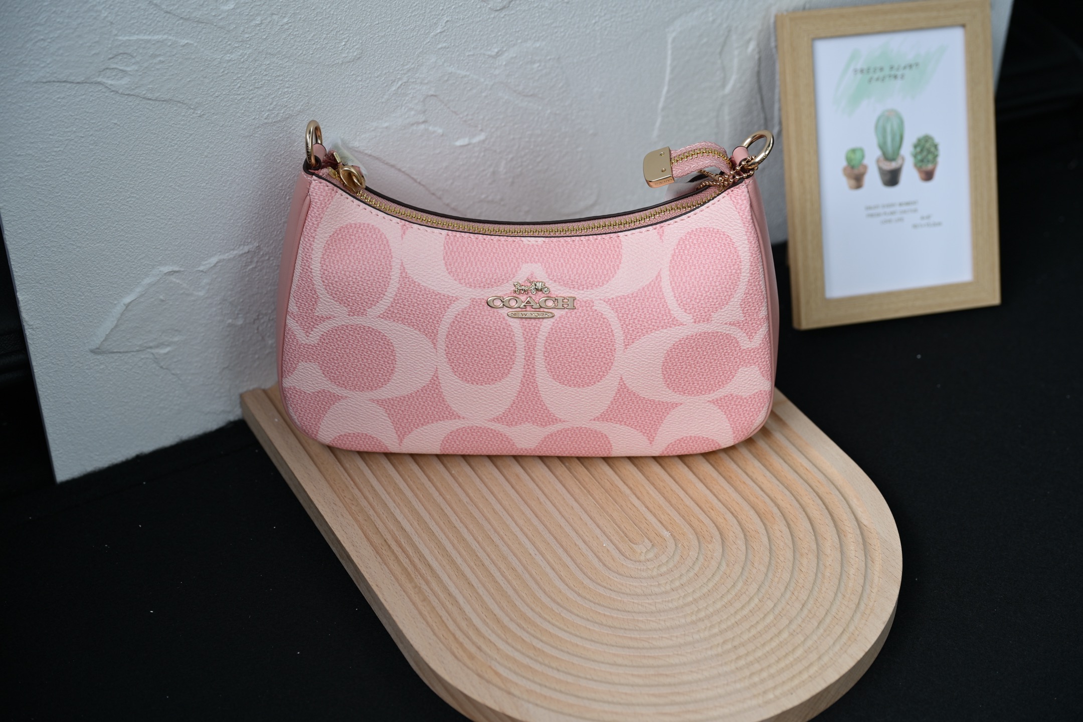 COACH CAL51 TERIシリーズ単肩包 - 高耐久PVCと牛皮素材