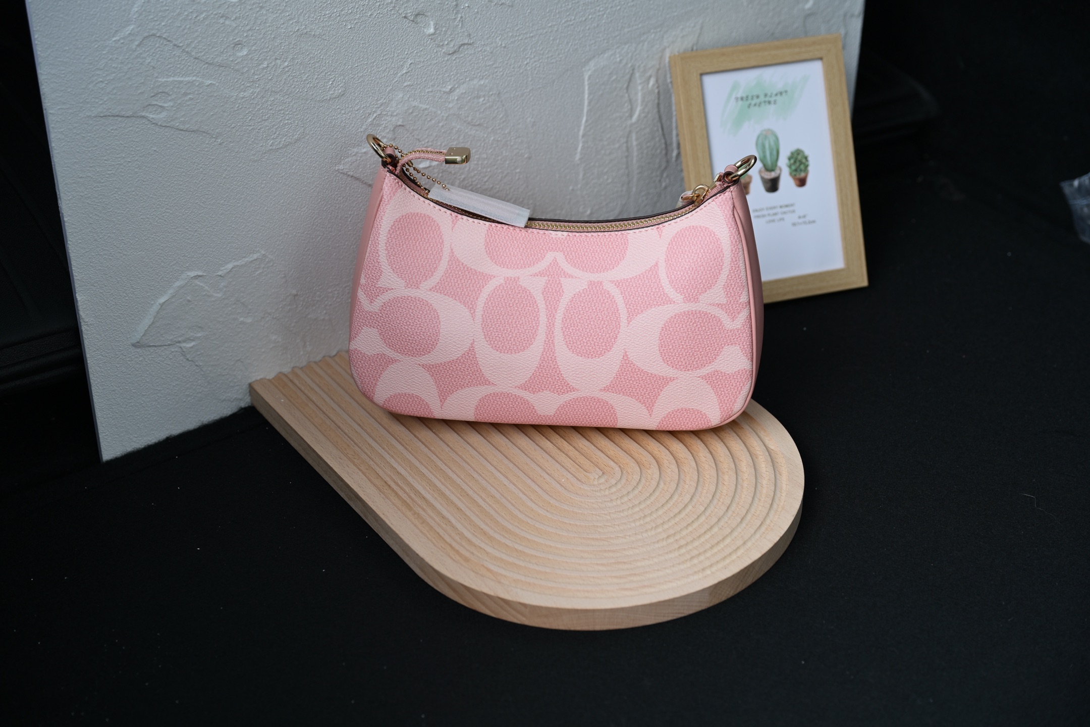 COACH CAL51 TERIシリーズ単肩包 - 高耐久PVCと牛皮素材