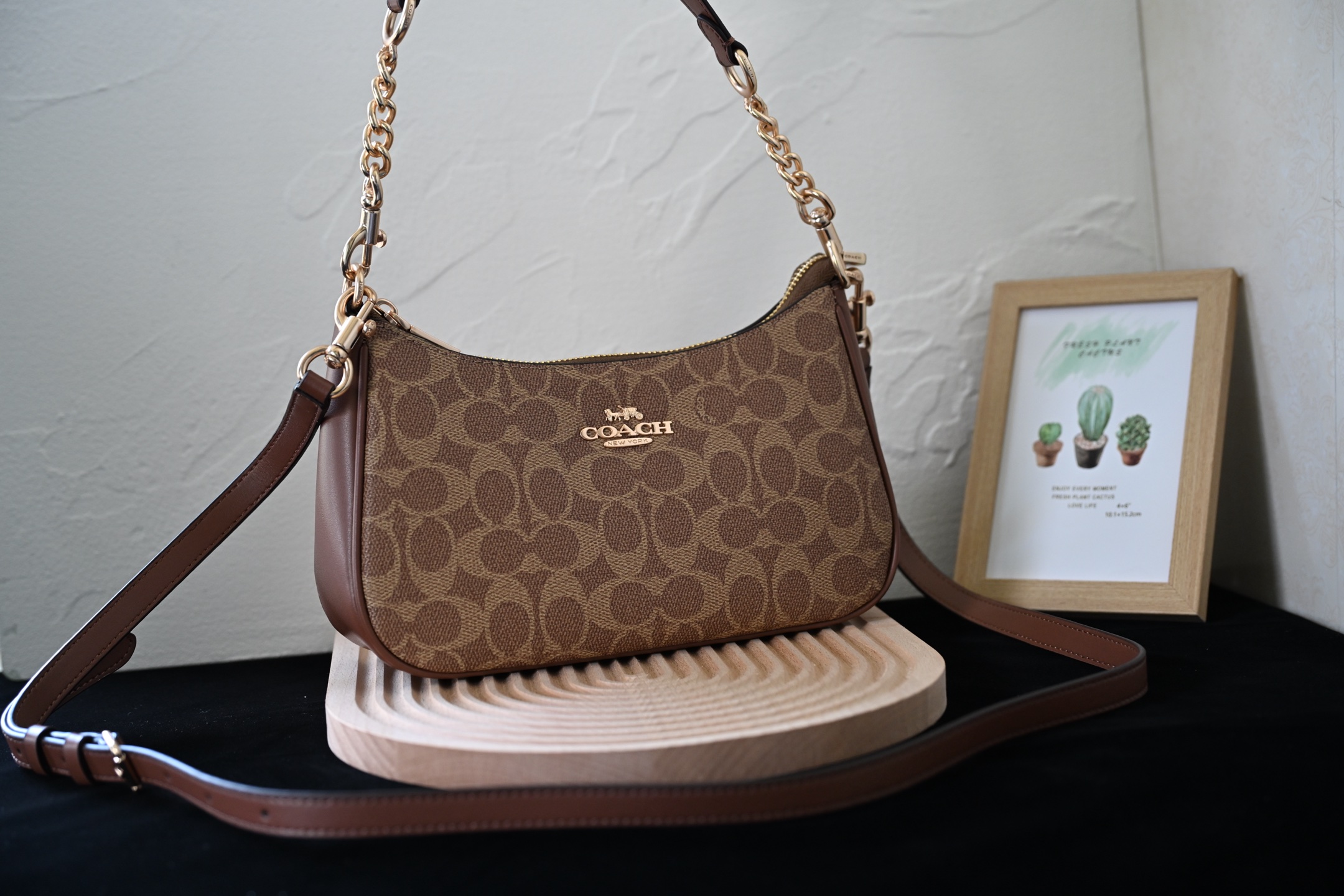 COAC 奥莱女包 CV933 TERI単肩包 - 牛皮革・多機能ポケット