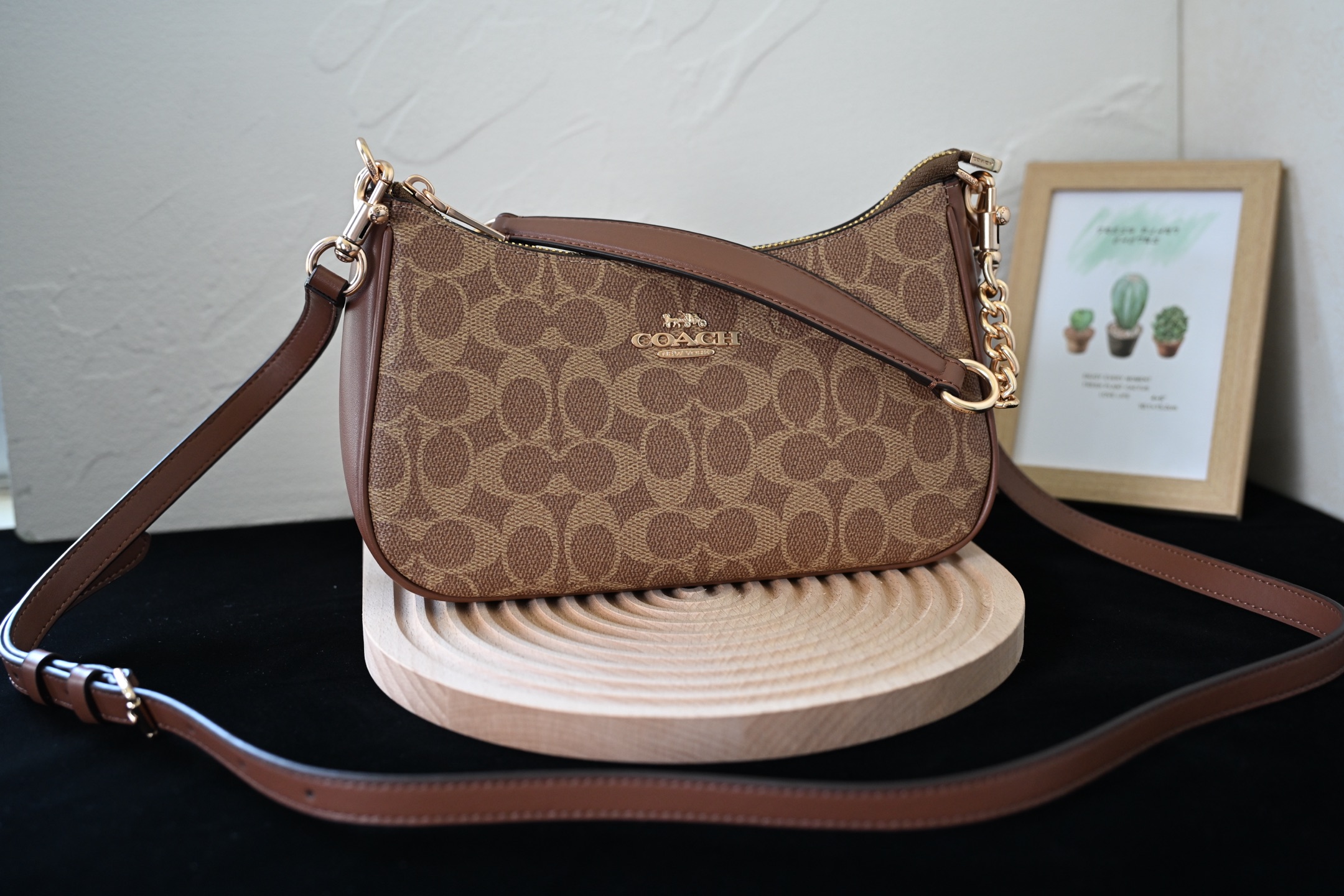 COAC 奥莱女包 CV933 TERI単肩包 - 牛皮革・多機能ポケット