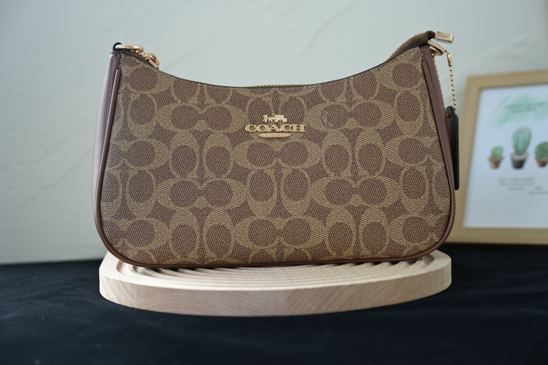 COAC 奥莱女包 CV933 TERI単肩包 - 牛皮革・多機能ポケット