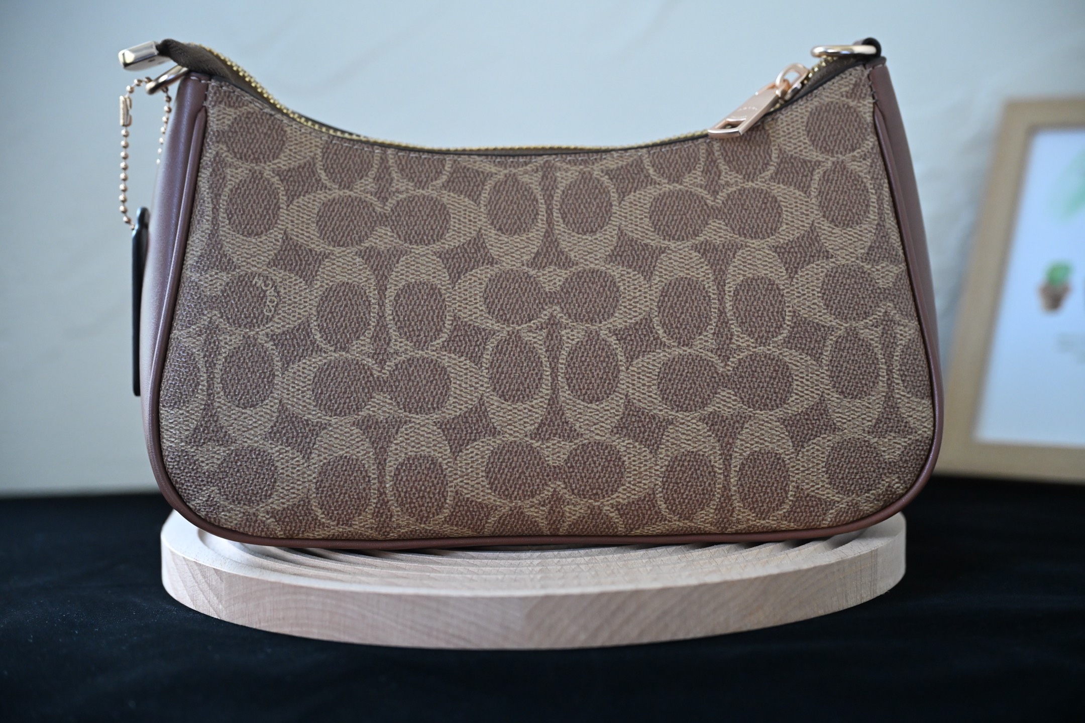 COAC 奥莱女包 CV933 TERI単肩包 - 牛皮革・多機能ポケット