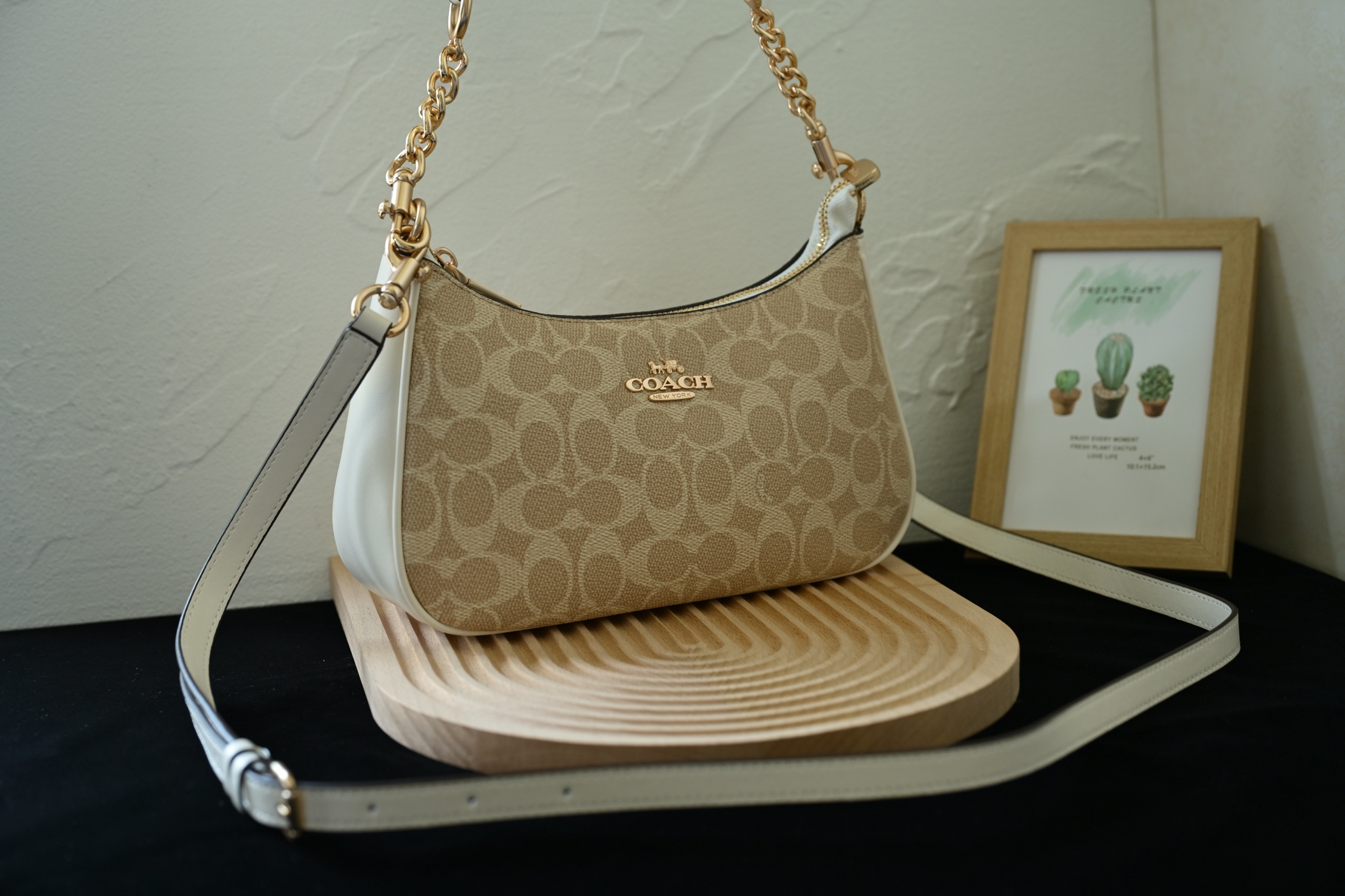 COACH 奥莱女包拼色TERI単肩包 - 牛皮革製の多機能デザイン