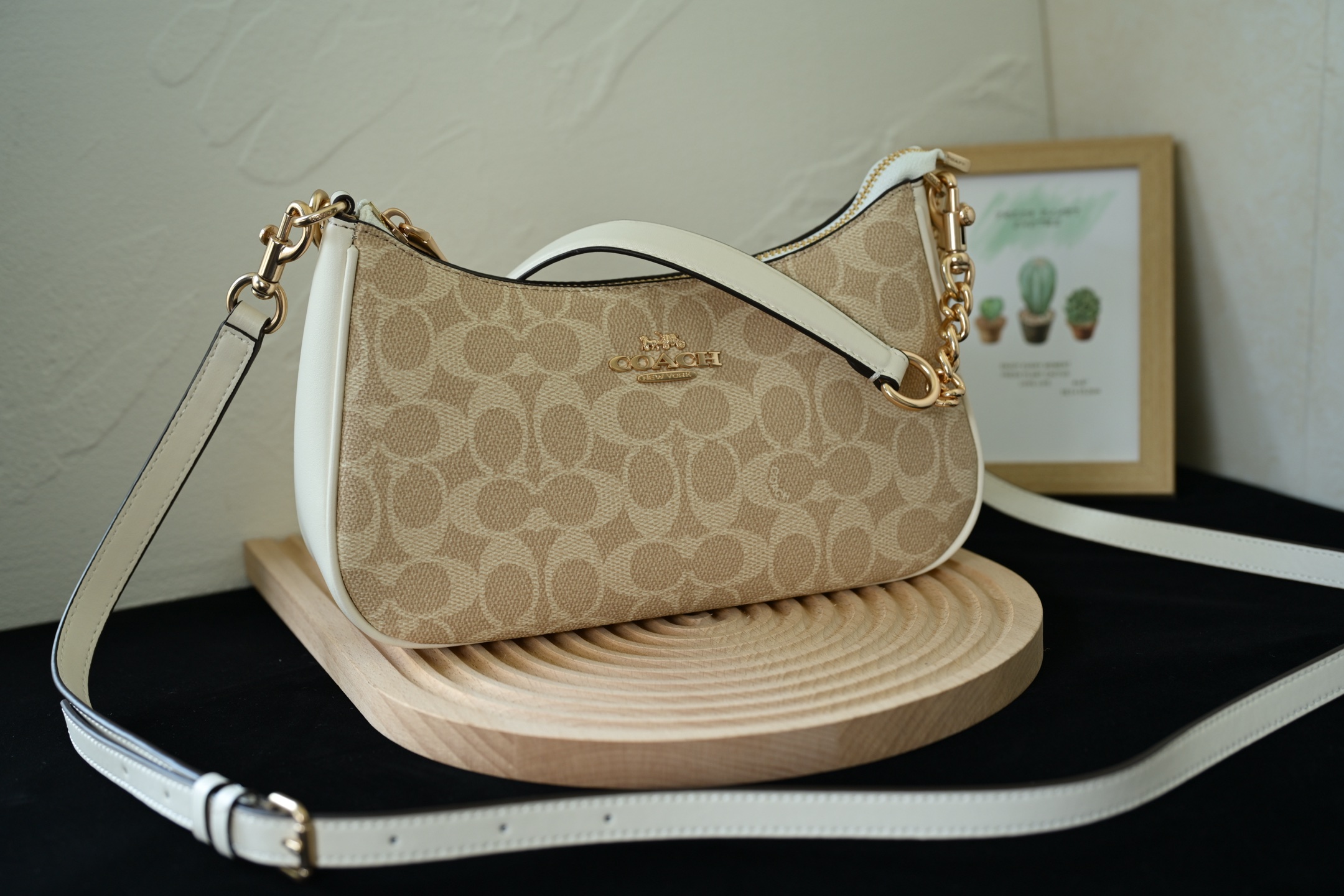 COACH 奥莱女包拼色TERI単肩包 - 牛皮革製の多機能デザイン