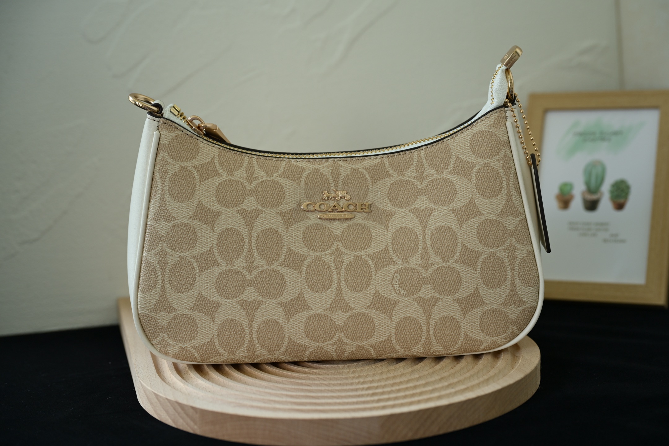 COACH 奥莱女包拼色TERI単肩包 - 牛皮革製の多機能デザイン