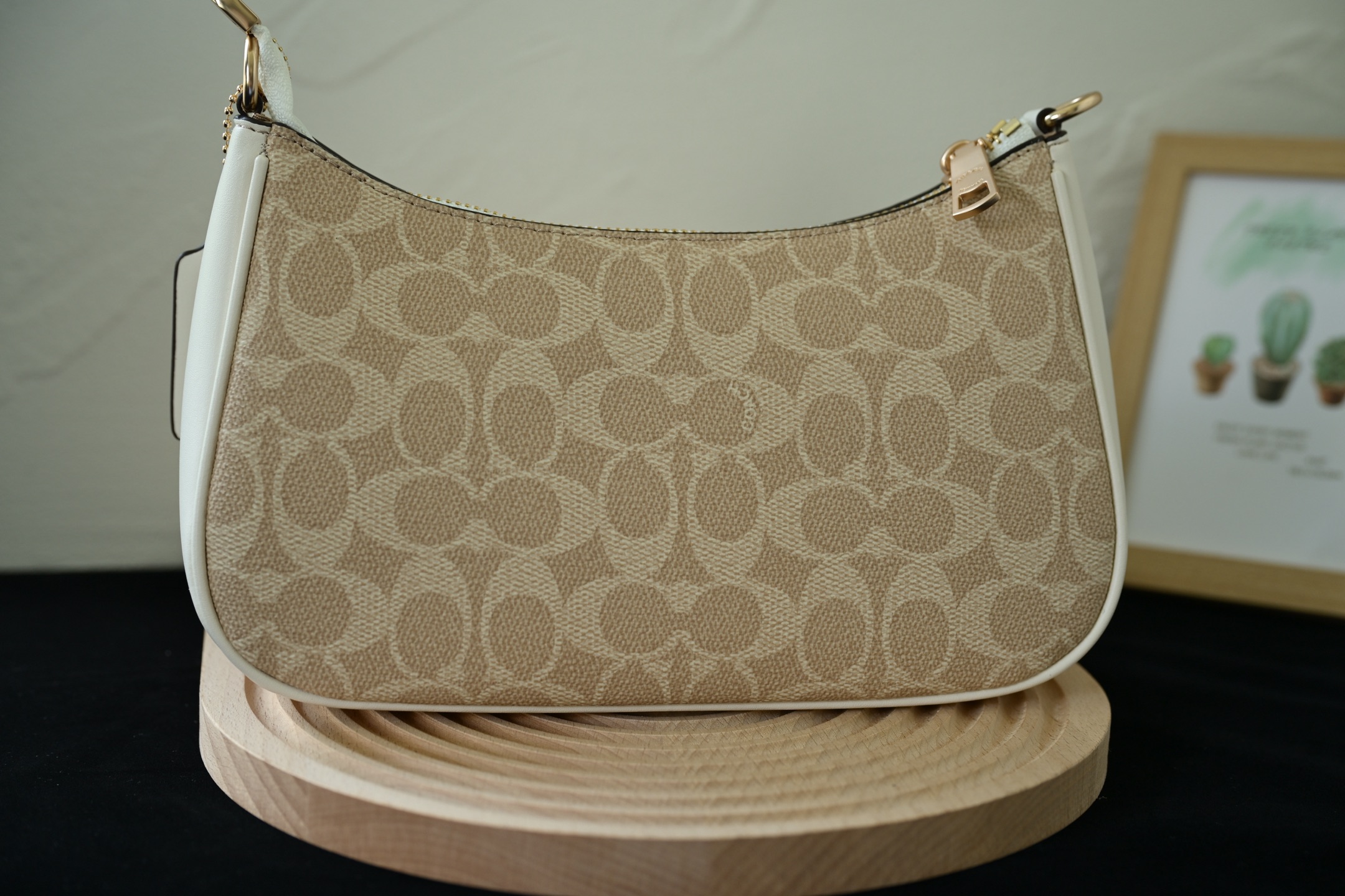 COACH 奥莱女包拼色TERI単肩包 - 牛皮革製の多機能デザイン