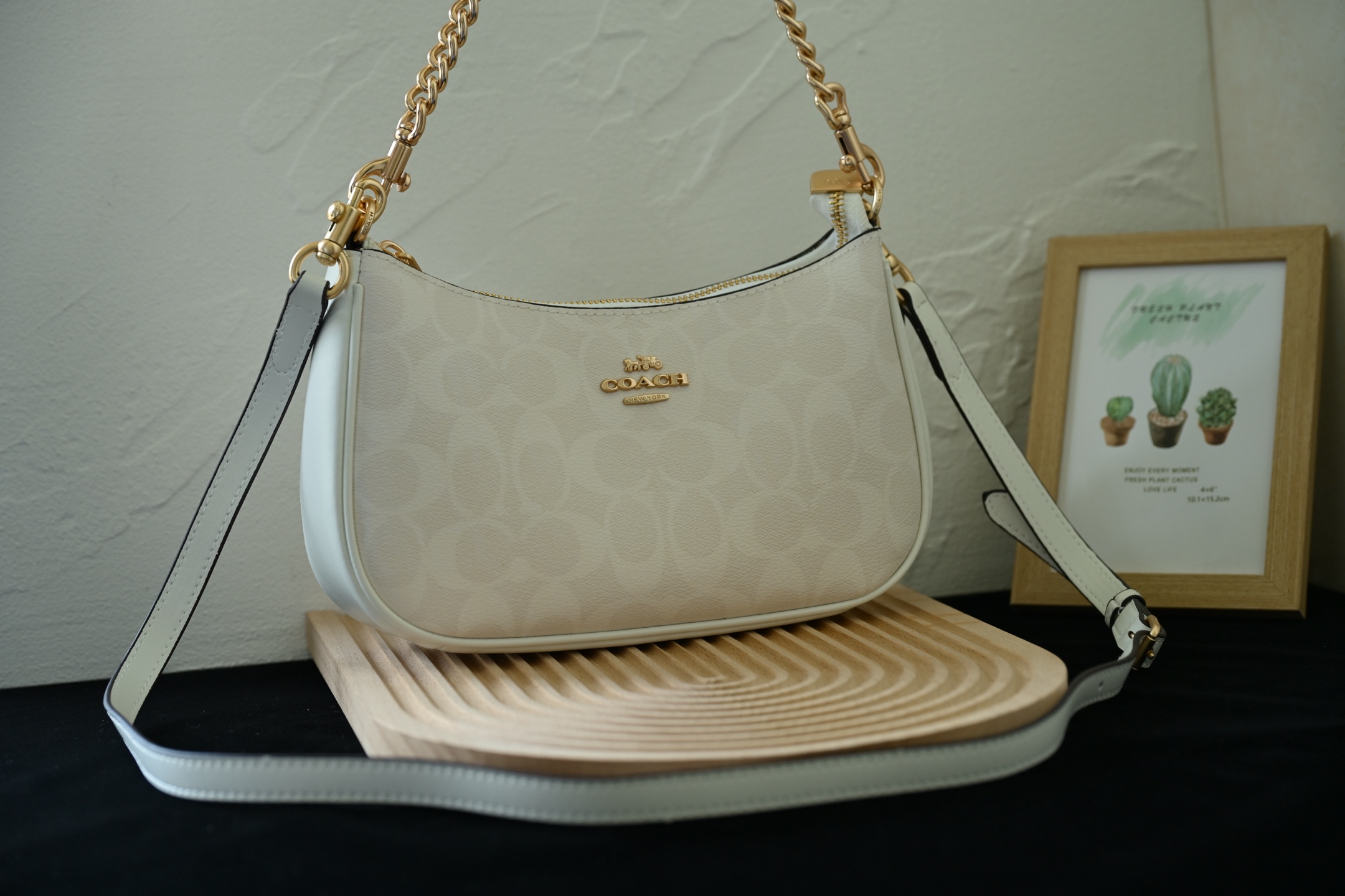 C家 CA548冰川白 高品質月牙包 大サイズ