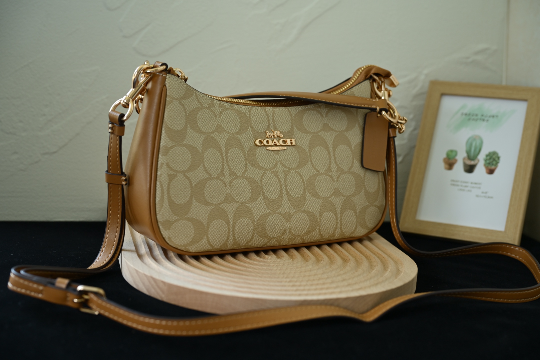 C家 CA548冰川白月牙包 - 高品質Teriシリーズの大容量デザイン