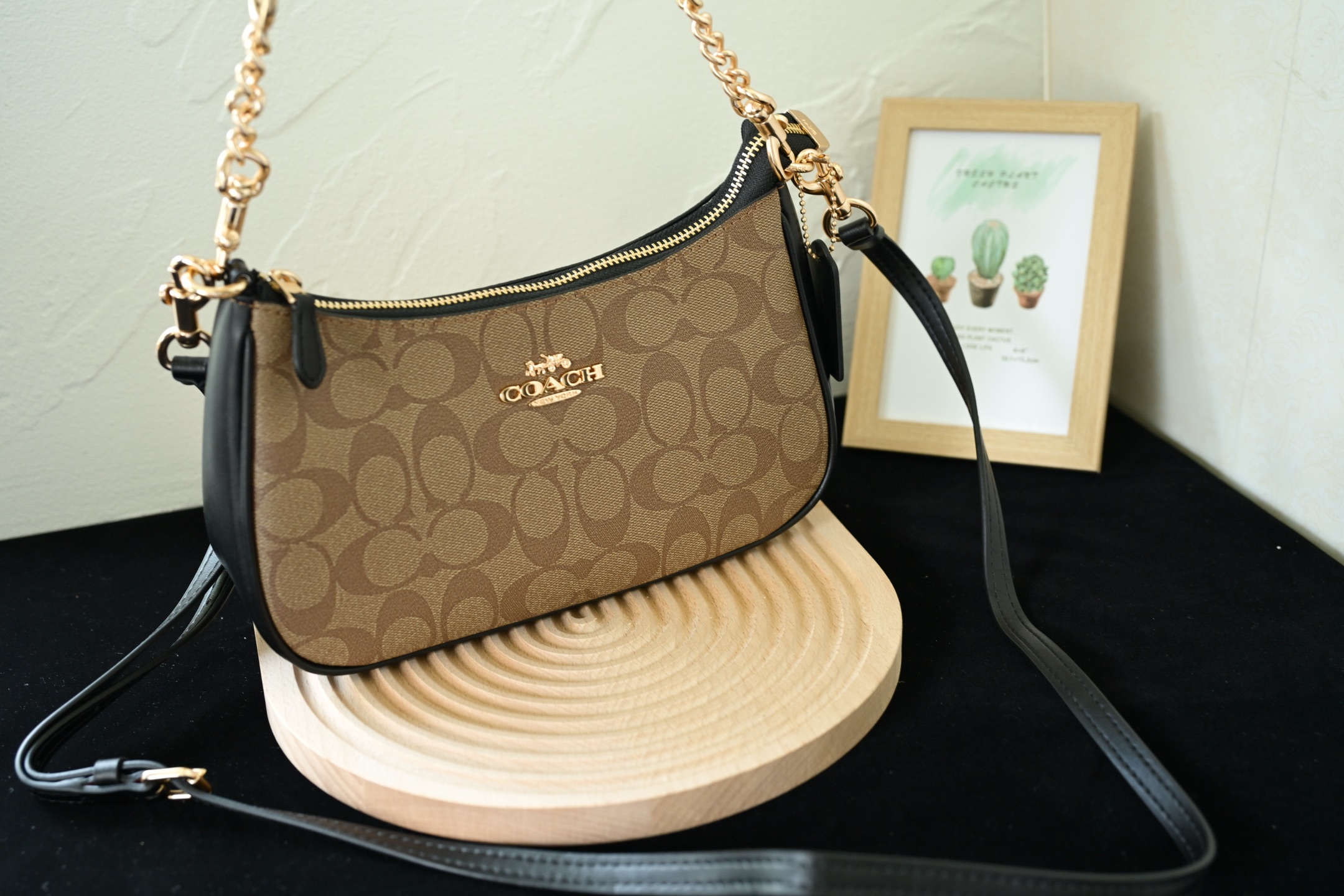 C家 CA548冰川白月牙包 高品質PVC配皮