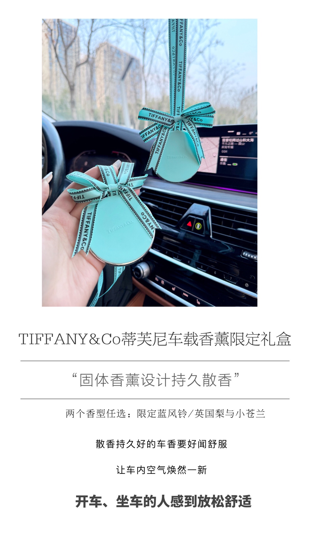 TIFFANY & CO - Comprehensive