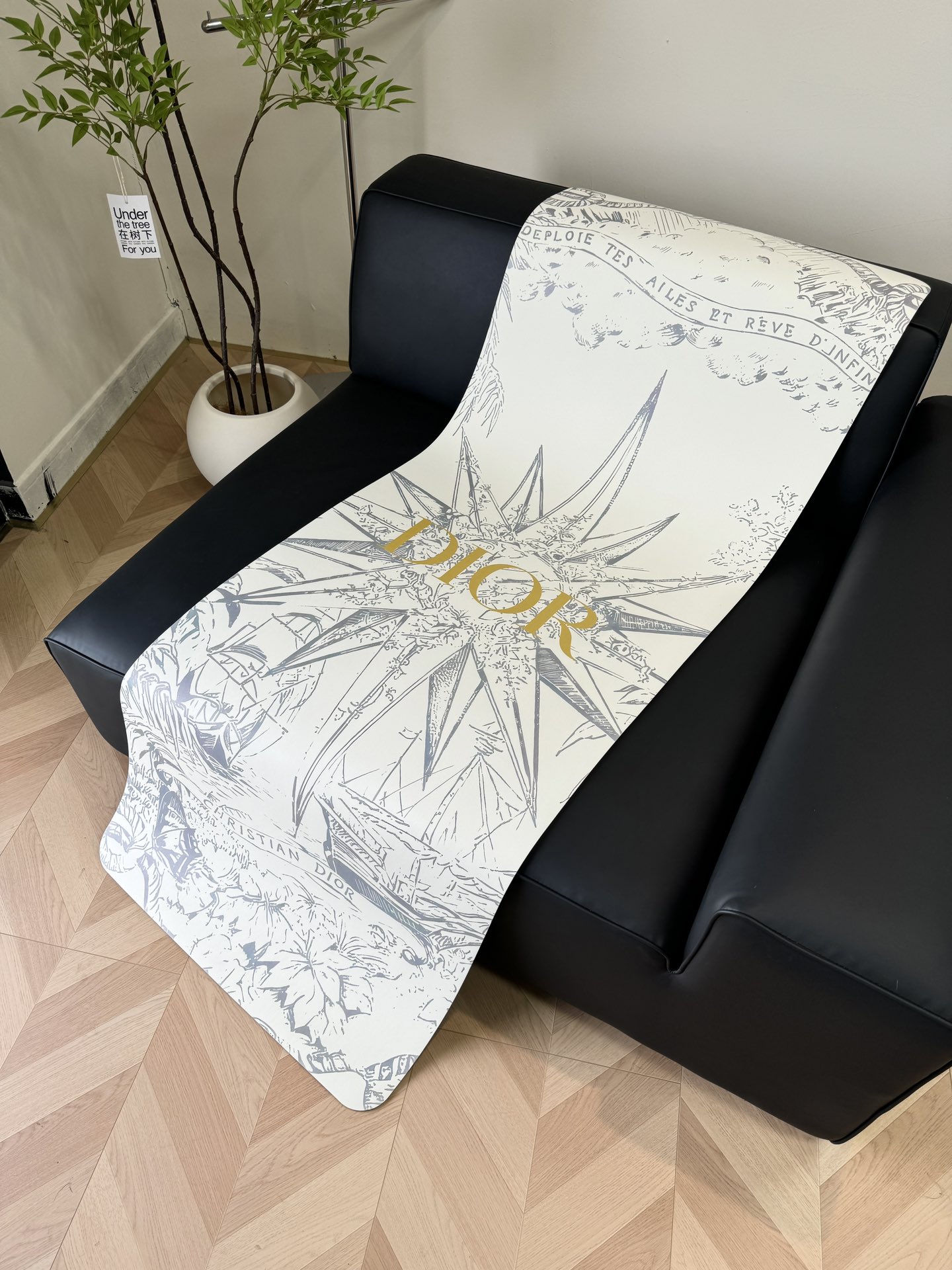 Dior Yoga Mat - Comprehensive 6