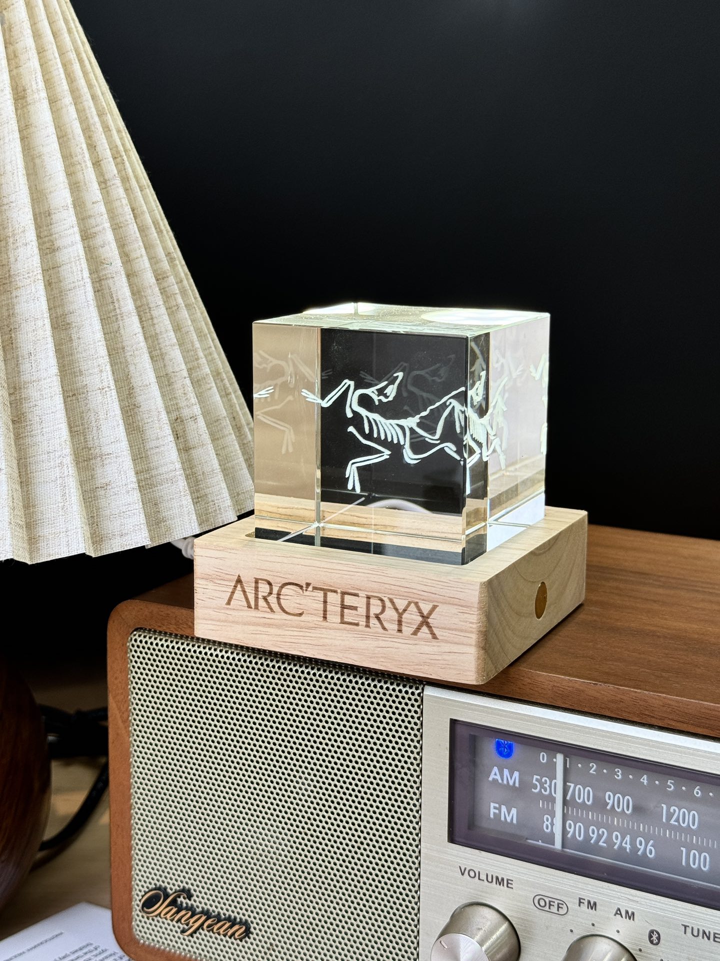 Item 1 ️⃣ Archaeopteryx 👇Rare limited edition collection is a must-have - Comprehensive 5