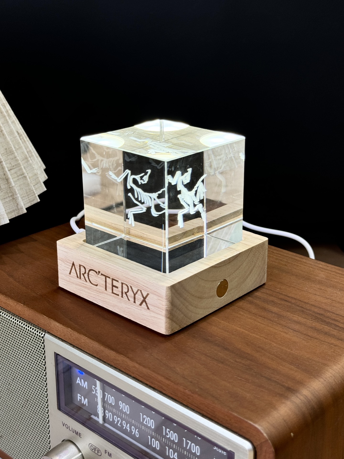 Item 1 ️⃣ Archaeopteryx 👇Rare limited edition collection is a must-have - Comprehensive 3