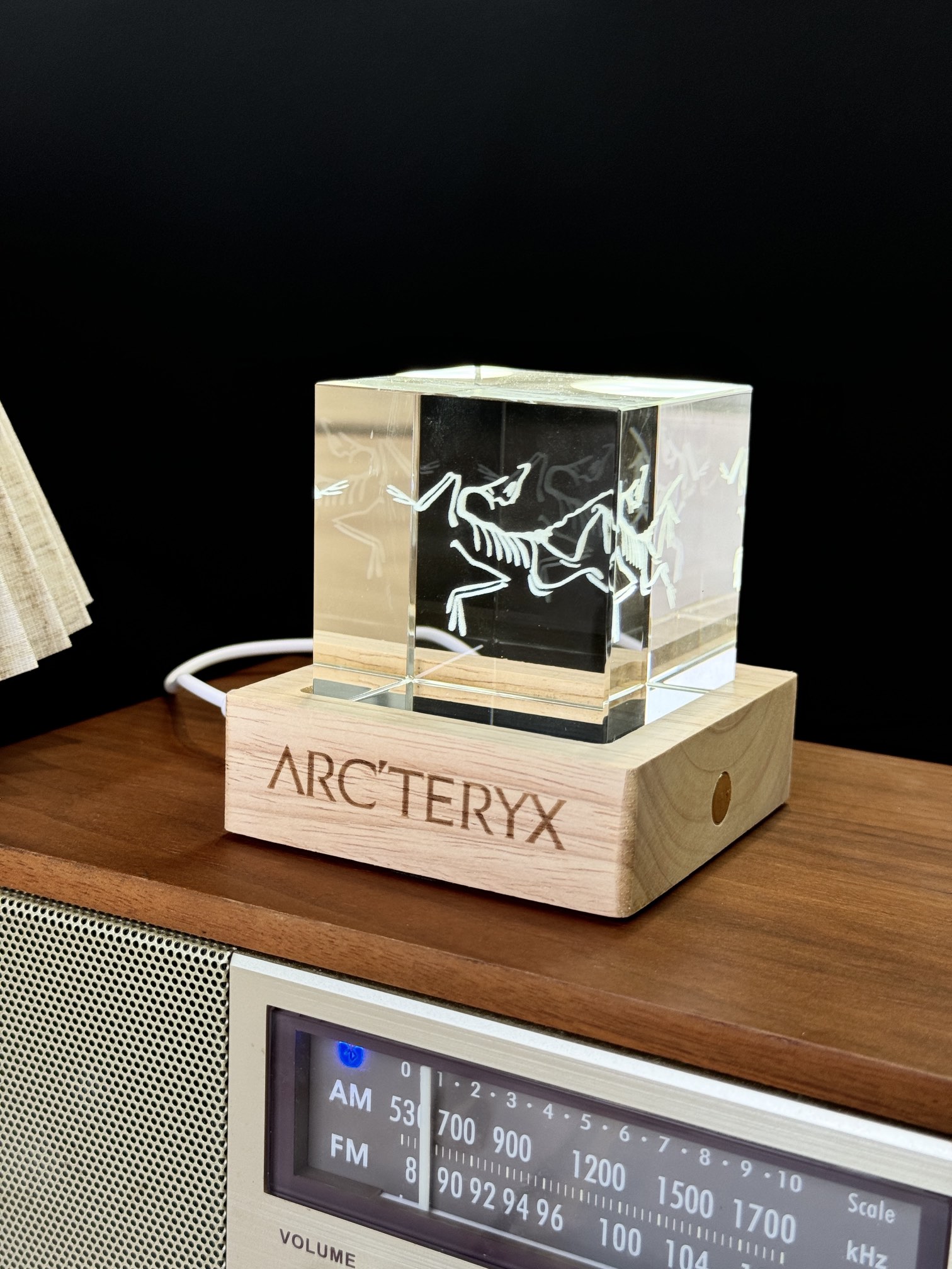 Item 1 ️⃣ Archaeopteryx 👇Rare limited edition collection is a must-have - Comprehensive 2