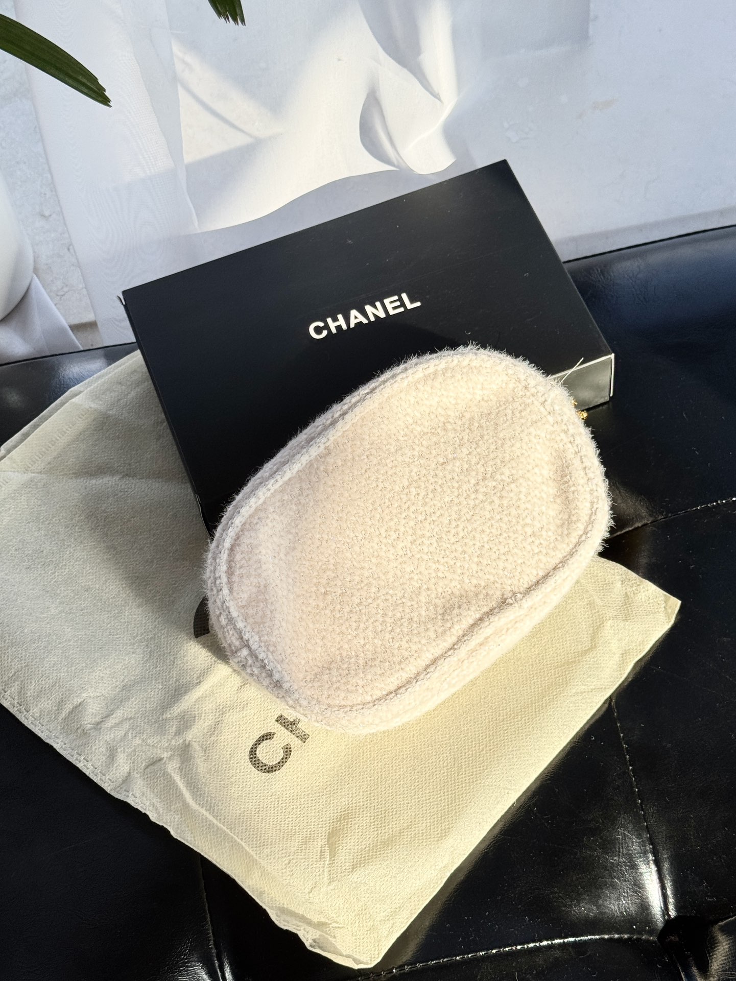 Chanel bag 6