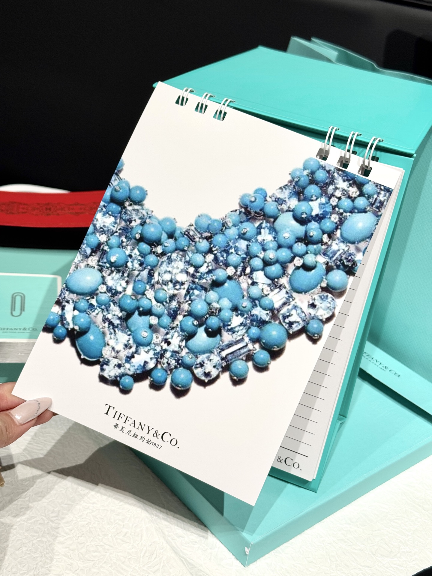 蒂芙尼 Tiffany & Co 高定典藏经典高奢皮具手袋托特包斜挎包女包 #B02826FD 3