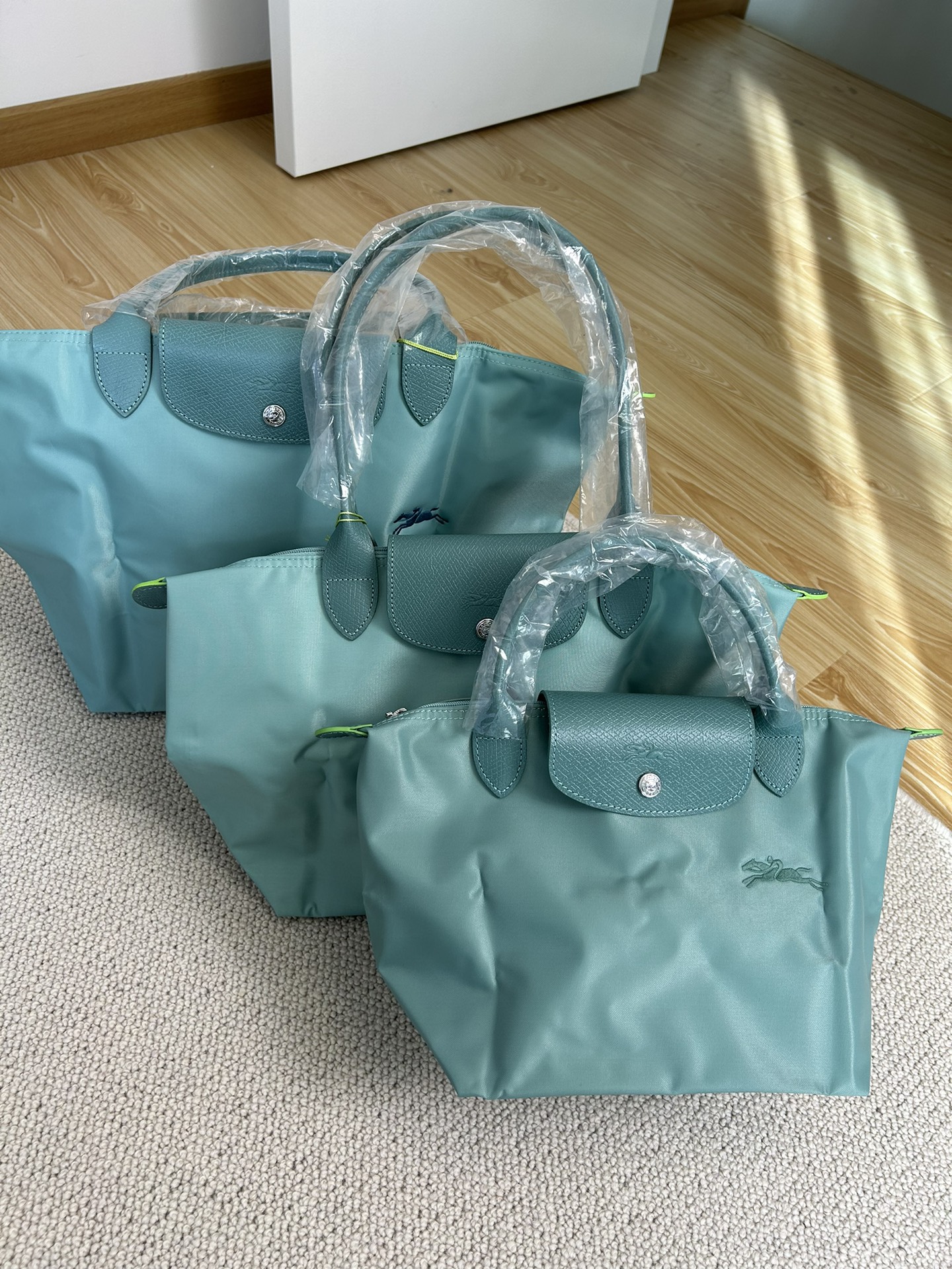 Longchamp ～湖蓝色，想起了丽江有名的蓝色湖，太美啦，这个蓝色太正了，很难得的颜色，新配色真的都
