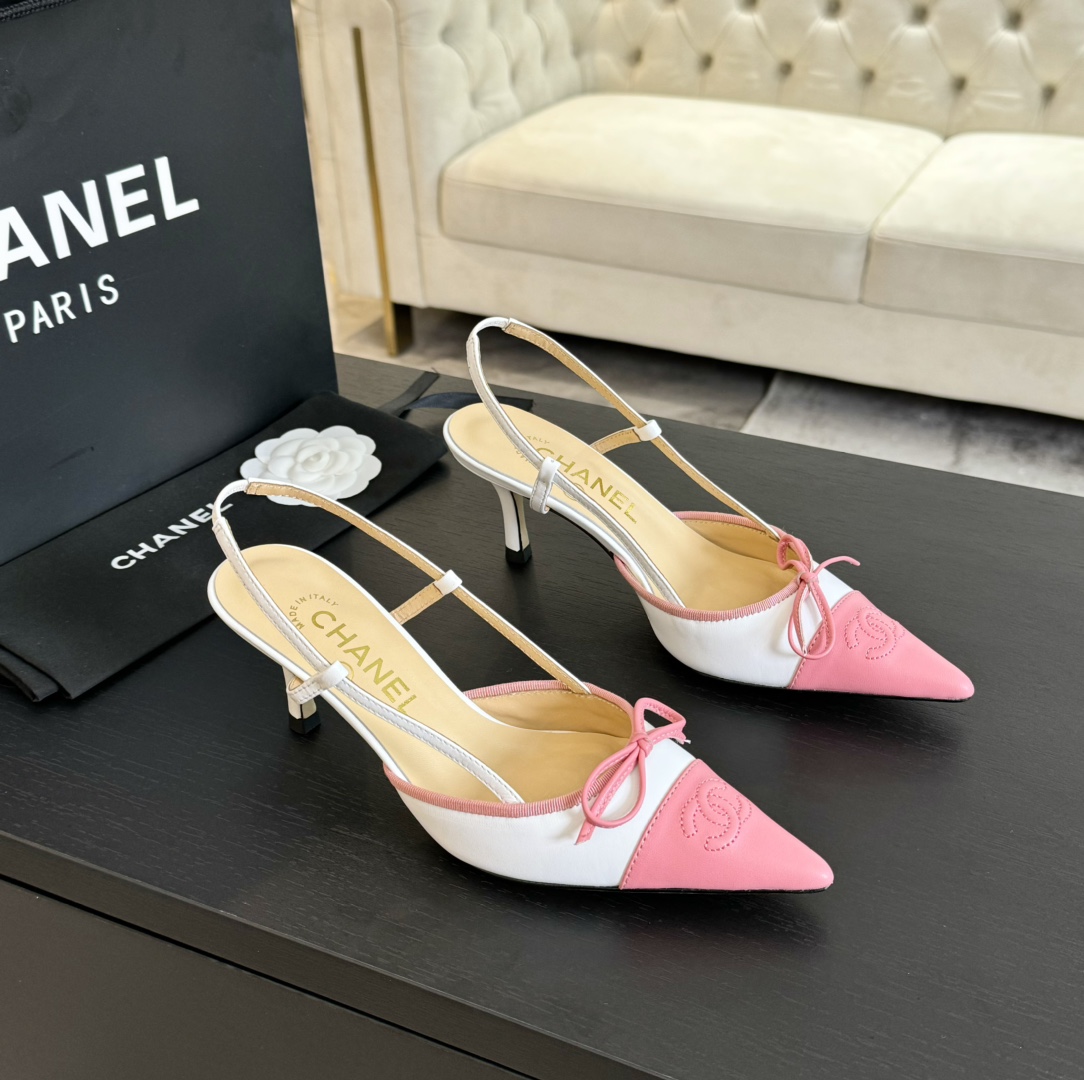Chanel 24SS Lambskin Mary Janes with Camellia Hardware, Pointed Toe 4 i1719905928 4005 1