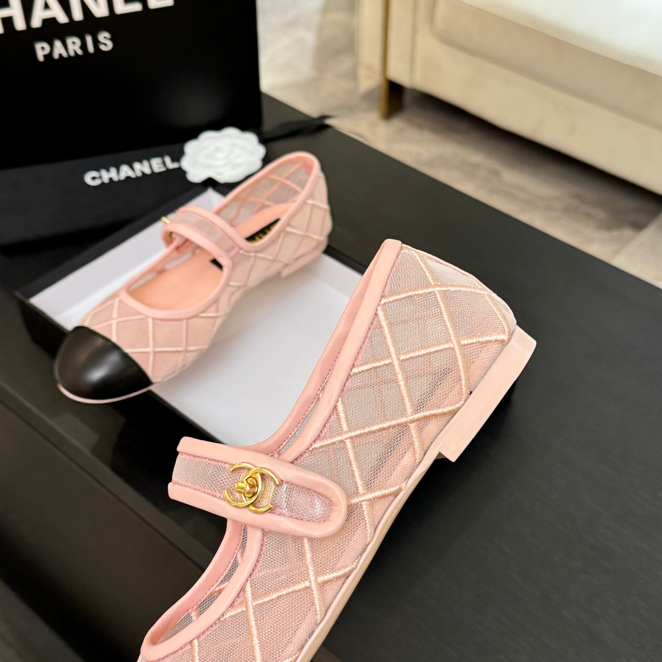 Chanel Women's Pink & Black Mesh Mary Jane Ballet Flats Shoes 6 a1746865622585 0148