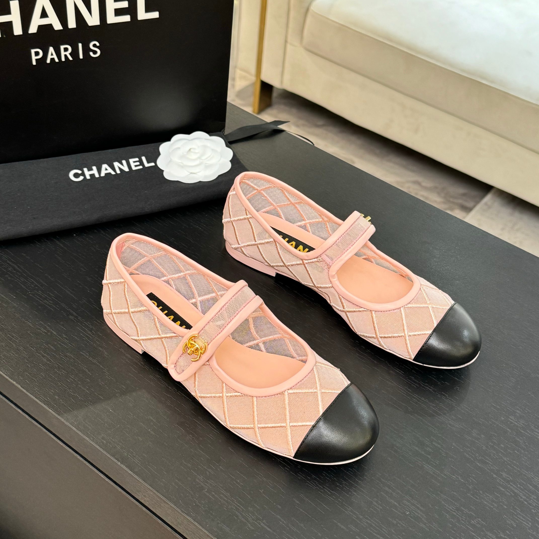 Chanel Women's Pink & Black Mesh Mary Jane Ballet Flats Shoes 2 a1746865622946 2318