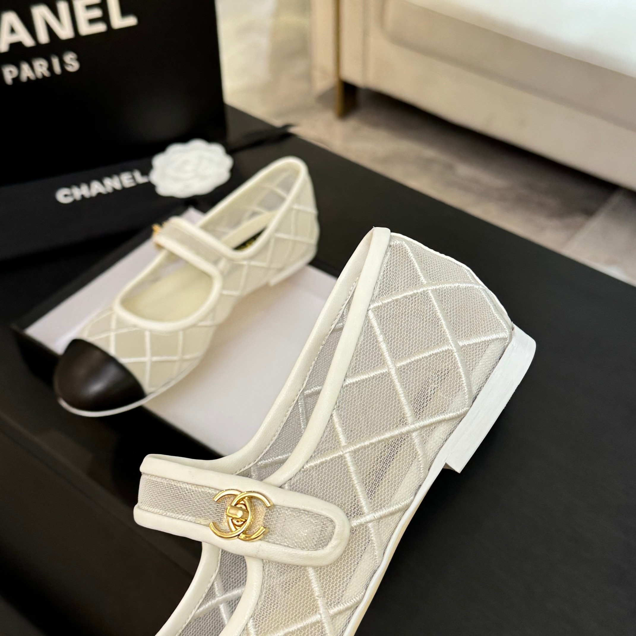 Chanel Women's Quilted Mesh Mary Jane Ballet Flats - Spring/Summer Collection 6 a1746865642451 2873