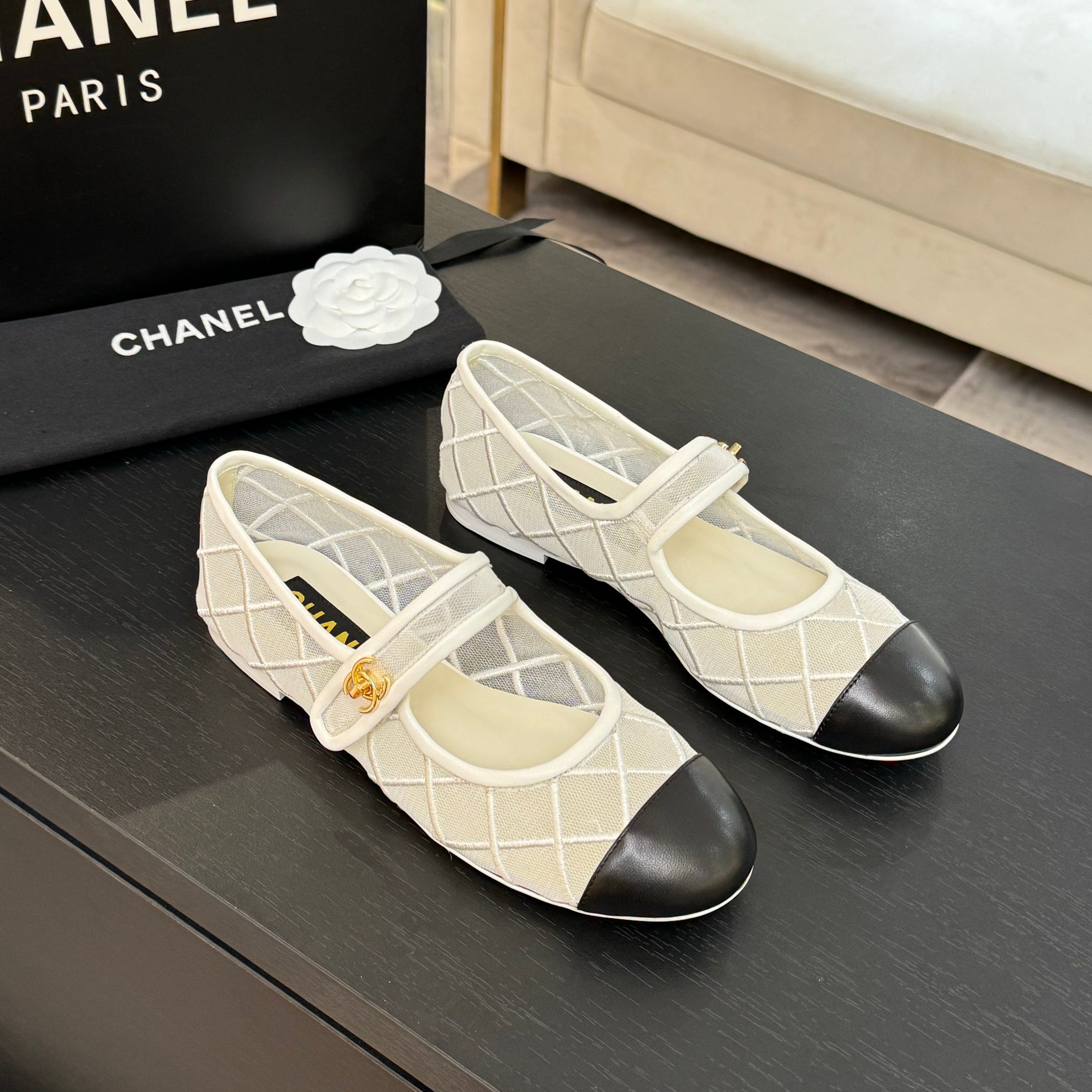 Chanel Women's Quilted Mesh Mary Jane Ballet Flats - Spring/Summer Collection 2 a1746865642659 7183