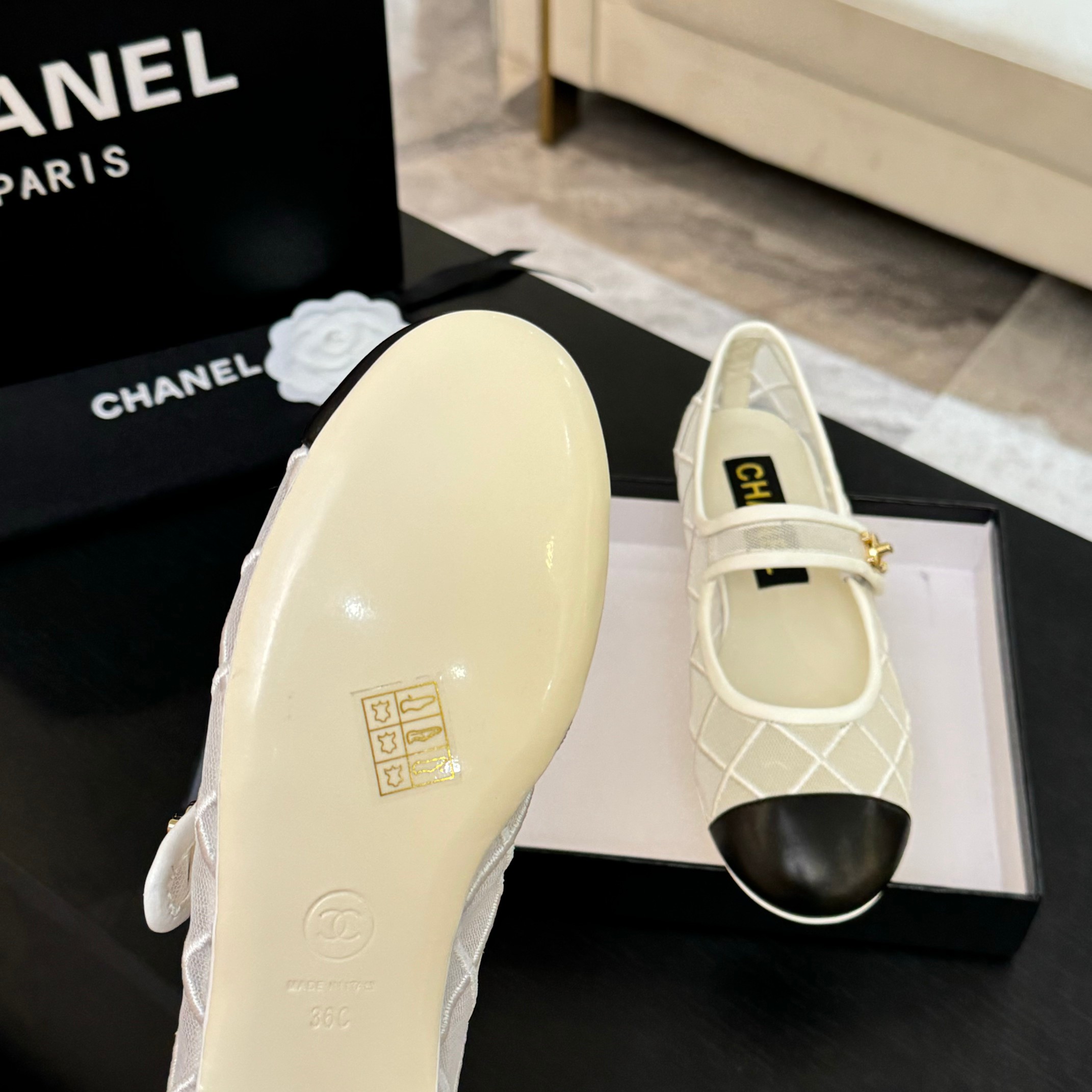 Chanel Women's Quilted Mesh Mary Jane Ballet Flats - Spring/Summer Collection 10 a1746865645337 5642