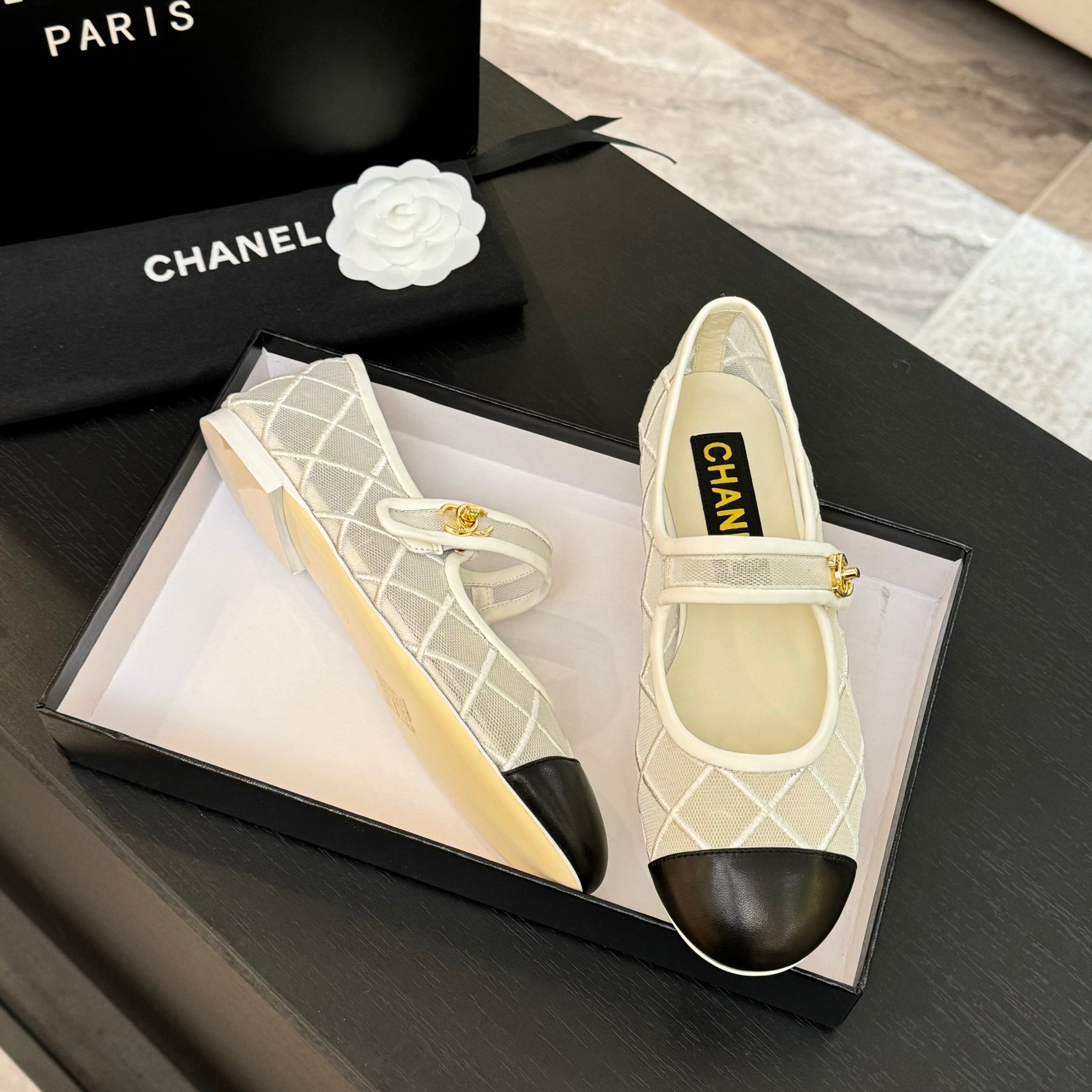 Chanel Women's Quilted Mesh Mary Jane Ballet Flats - Spring/Summer Collection 9 a1746865645399 8703