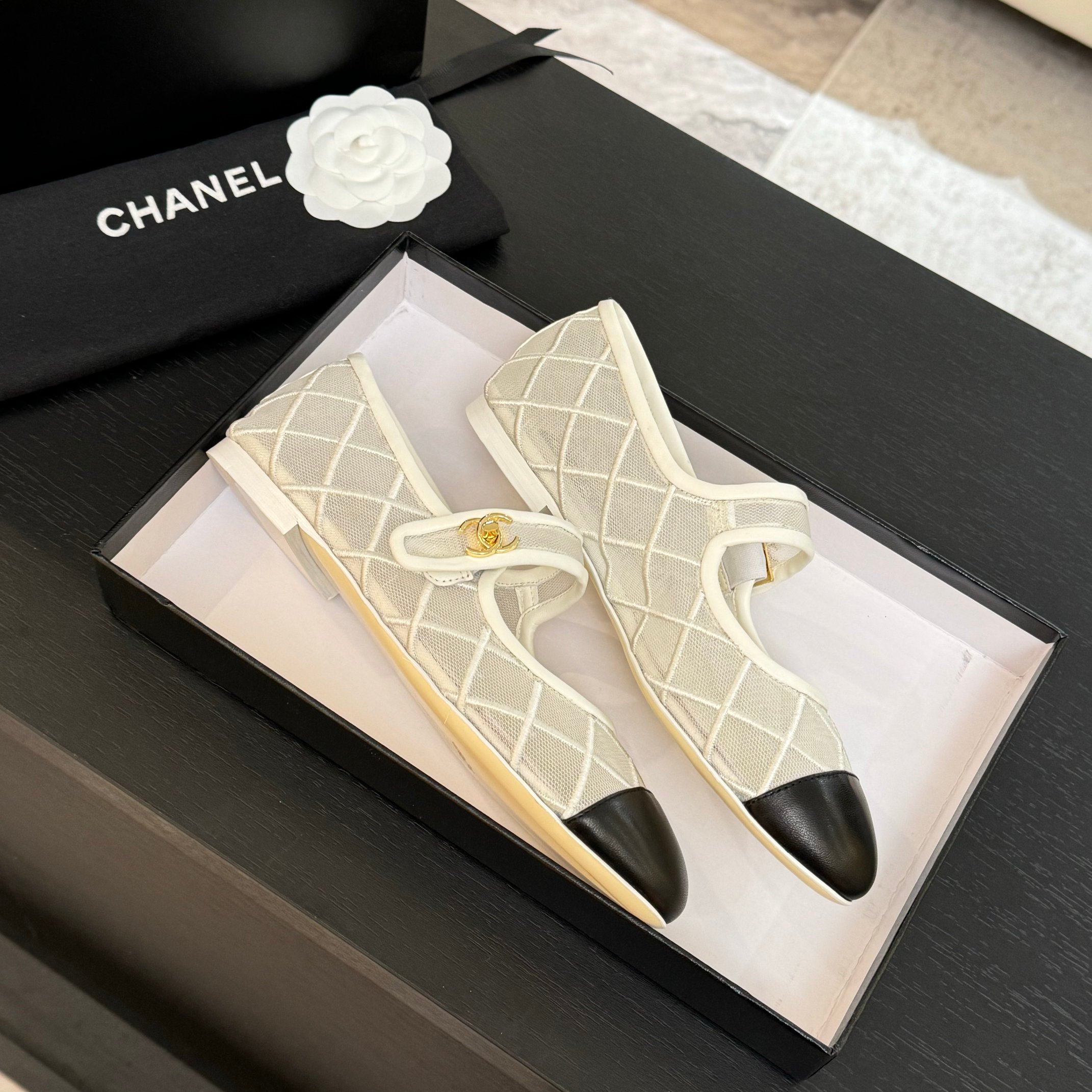 Chanel Women's Quilted Mesh Mary Jane Ballet Flats - Spring/Summer Collection 8 a1746865645401 3152