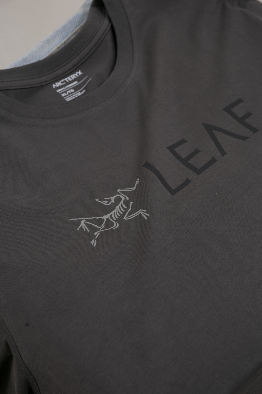 windows1743248458425 451192597 626413880