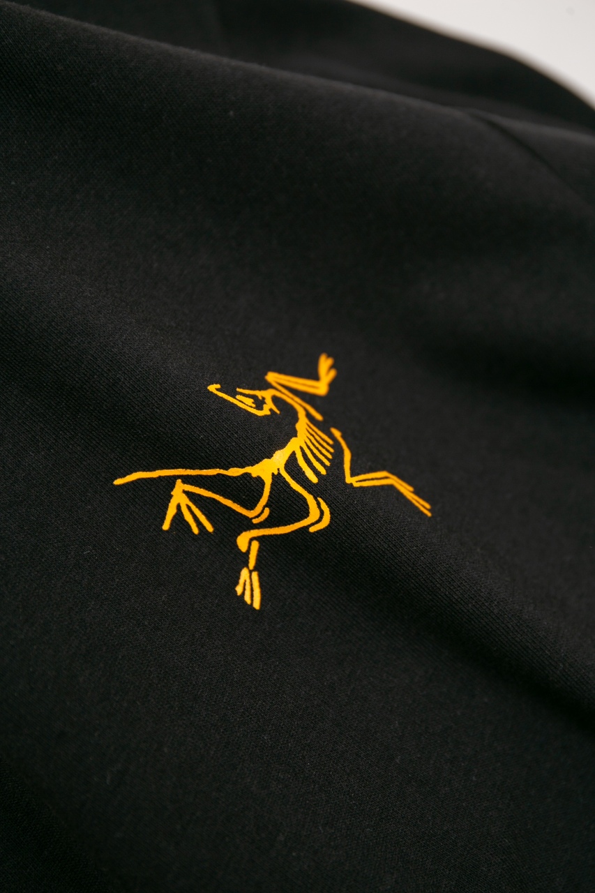 Arc'teryx T-Shirt Crew Neck Short Sleeve Perfect Replica - Size S to XL 9 windows1743248769041 460673678 1898245651