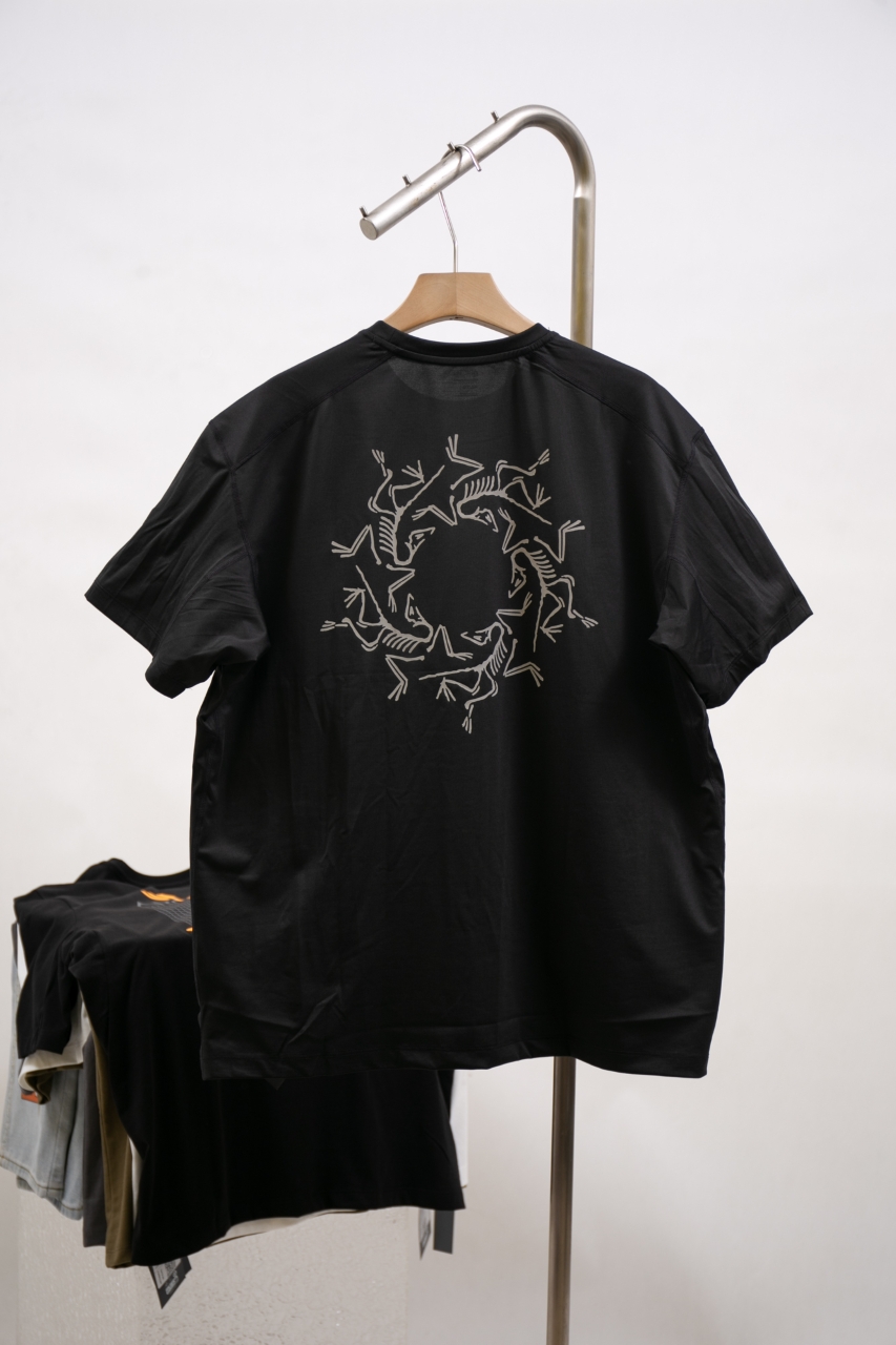 Arc'teryx Crew Neck T-Shirt - Lightweight, Breathable, and Quick-Drying Tee 2 windows1743248840607 318942141074402906
