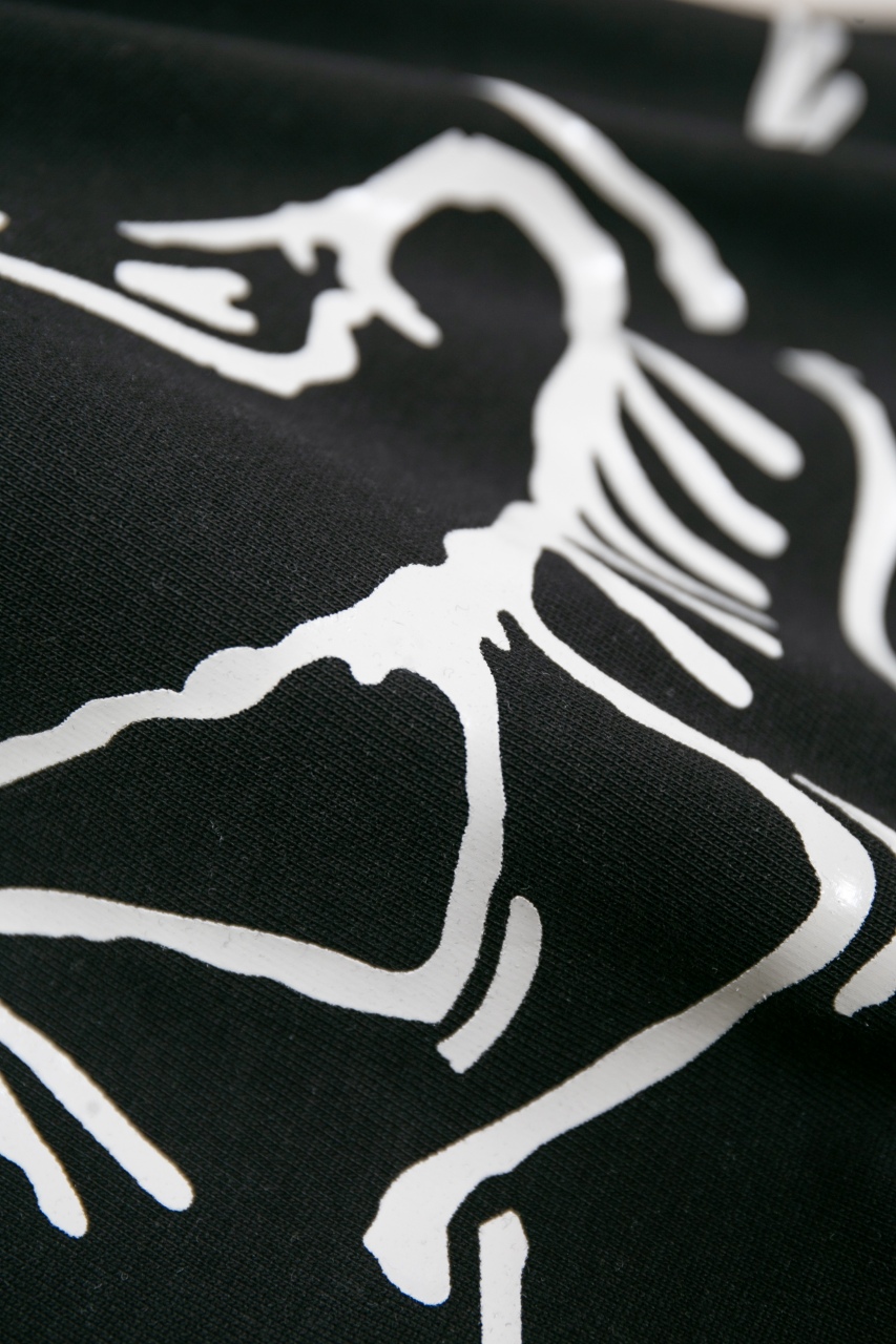 windows1743249022571 4871557701859768951