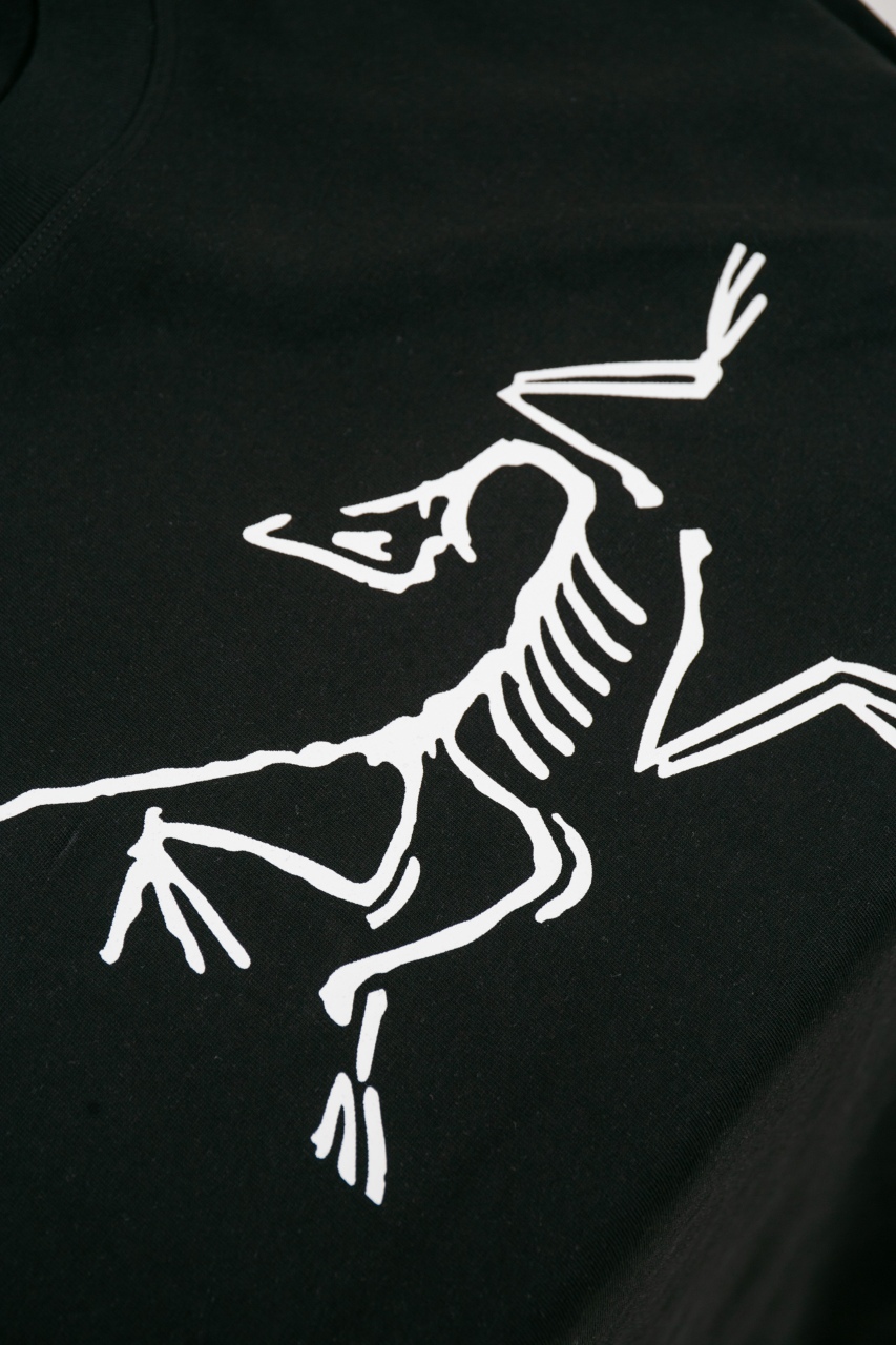 windows1743249022572 487155770 142840592