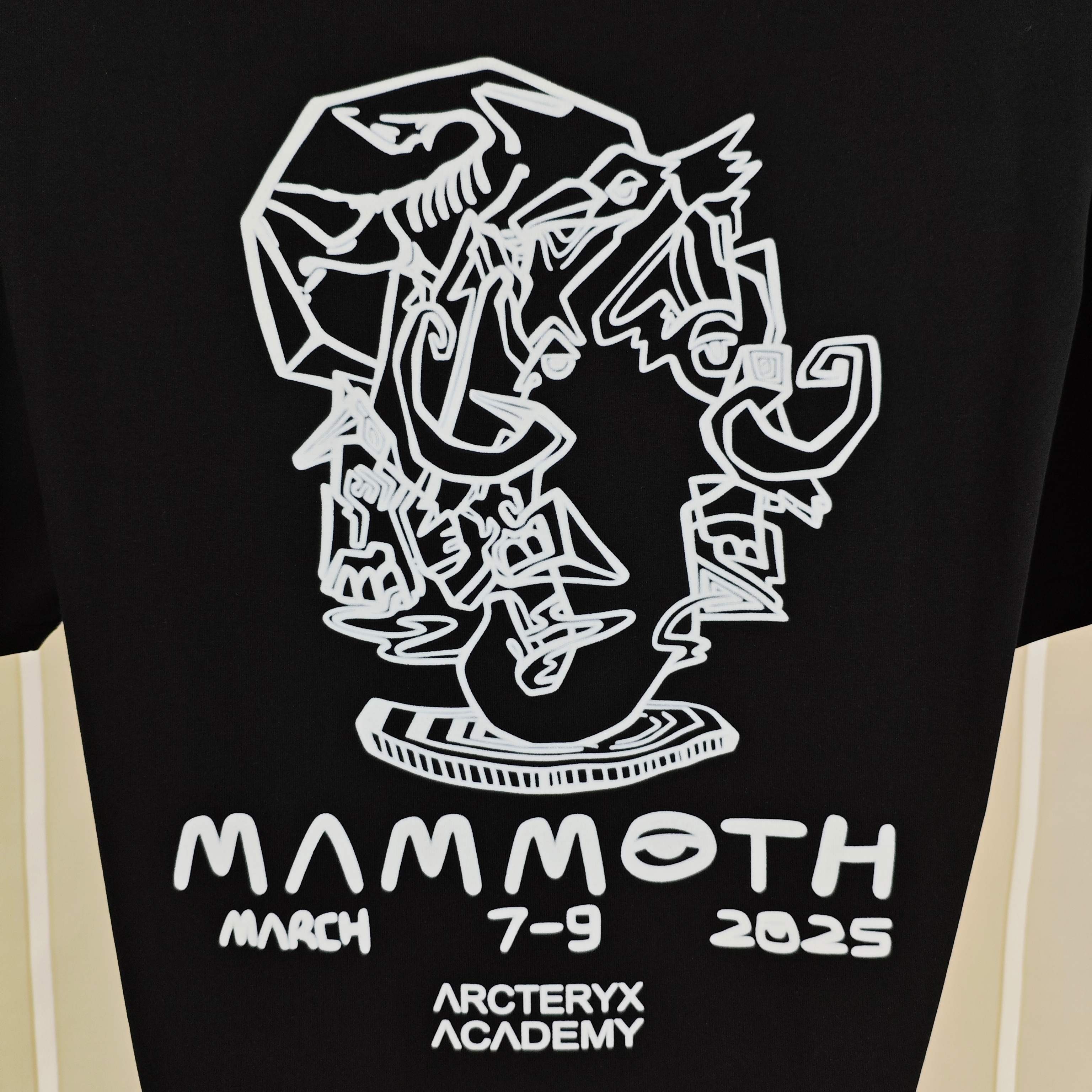 始祖鸟 2026春夏新款原单男士圆领短袖T恤 专柜同步售卖 ✨✨高端品质 高版本 OS版型阔版 爆款✨✨