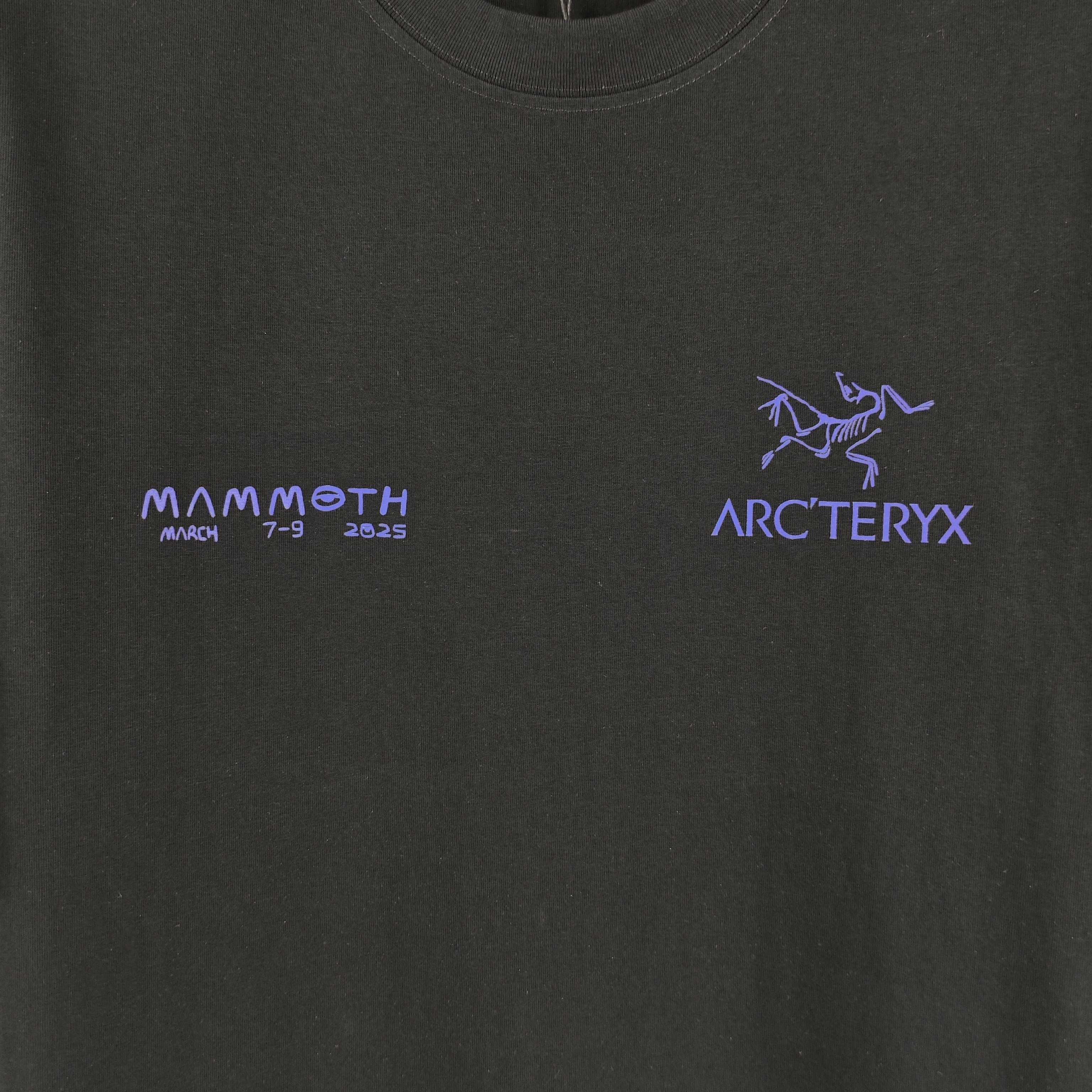 始祖鸟 2026春夏新款原单男士圆领短袖T恤 专柜同步售卖 ✨✨高端品质 高版本 OS版型阔版 爆款✨✨