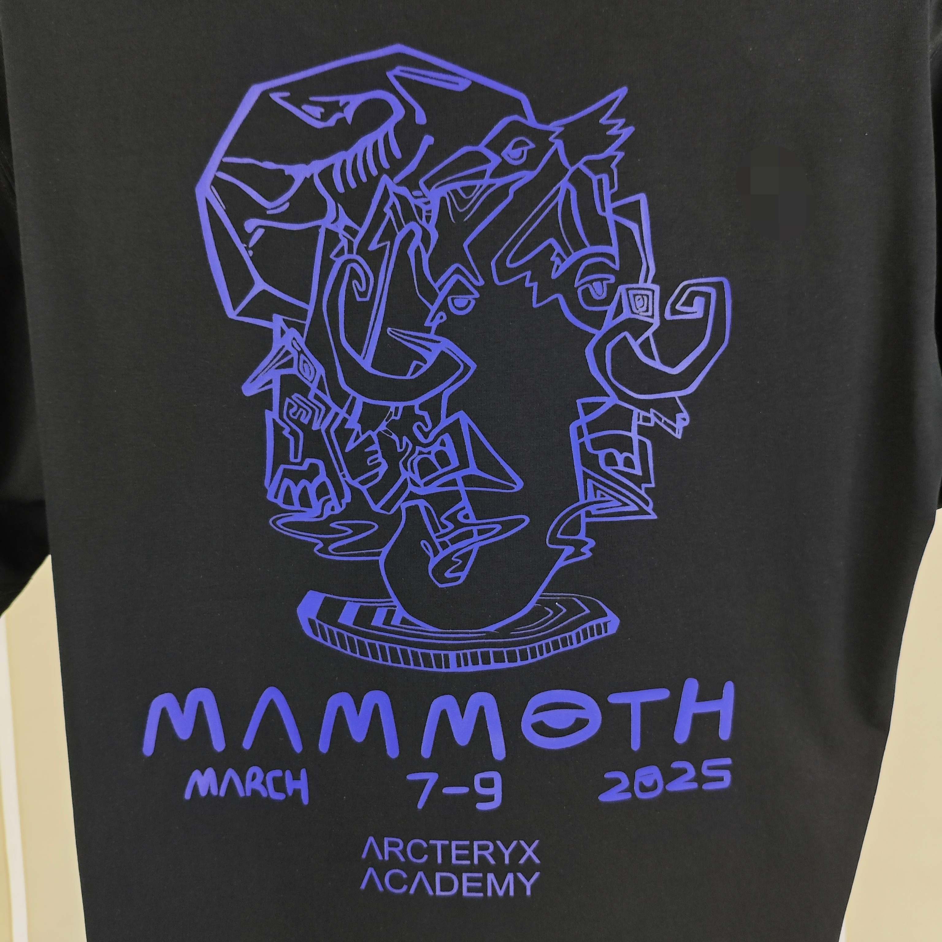 始祖鸟 2026春夏新款原单男士圆领短袖T恤 专柜同步售卖 ✨✨高端品质 高版本 OS版型阔版 爆款✨✨