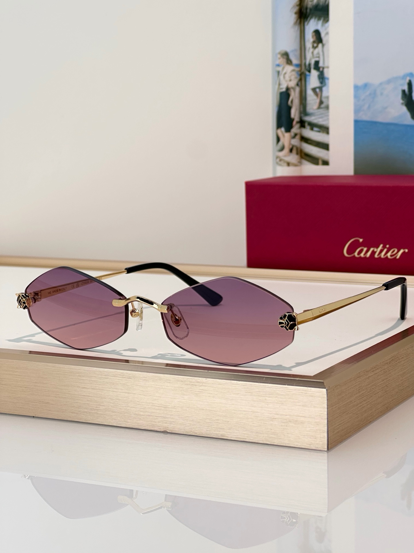 Designer Sunglasses CT0433S