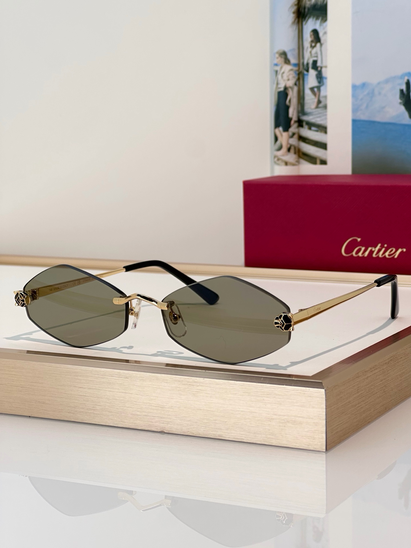 Designer Sunglasses CT0433S