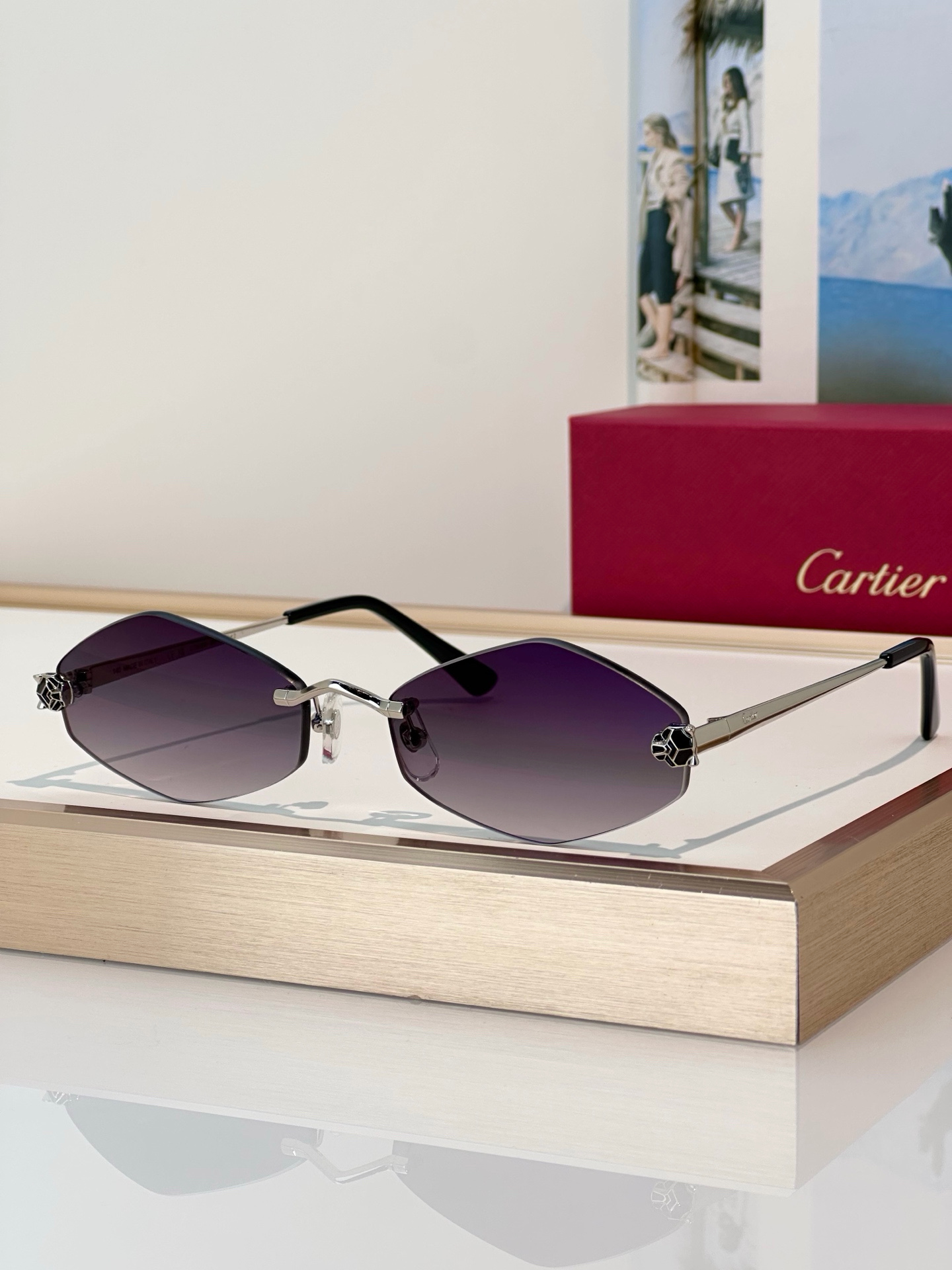 Designer Sunglasses CT0433S