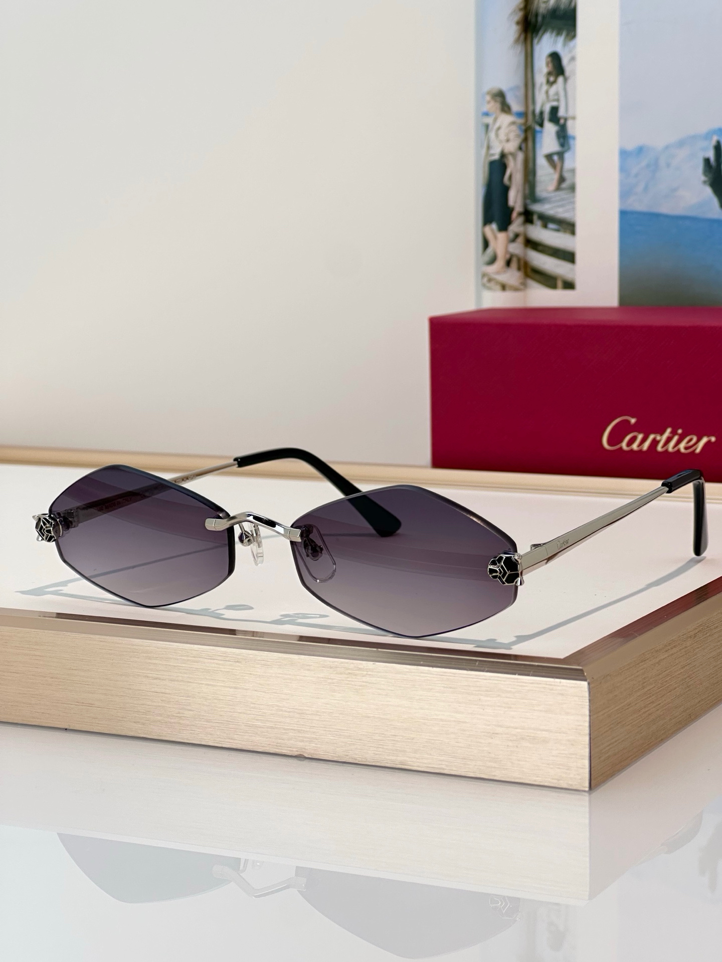 Designer Sunglasses CT0433S